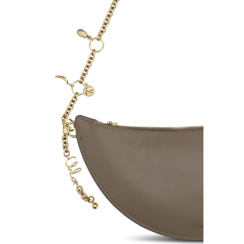 Chloé Grey Bos Taurus Calfskin Shoulder Bag-3