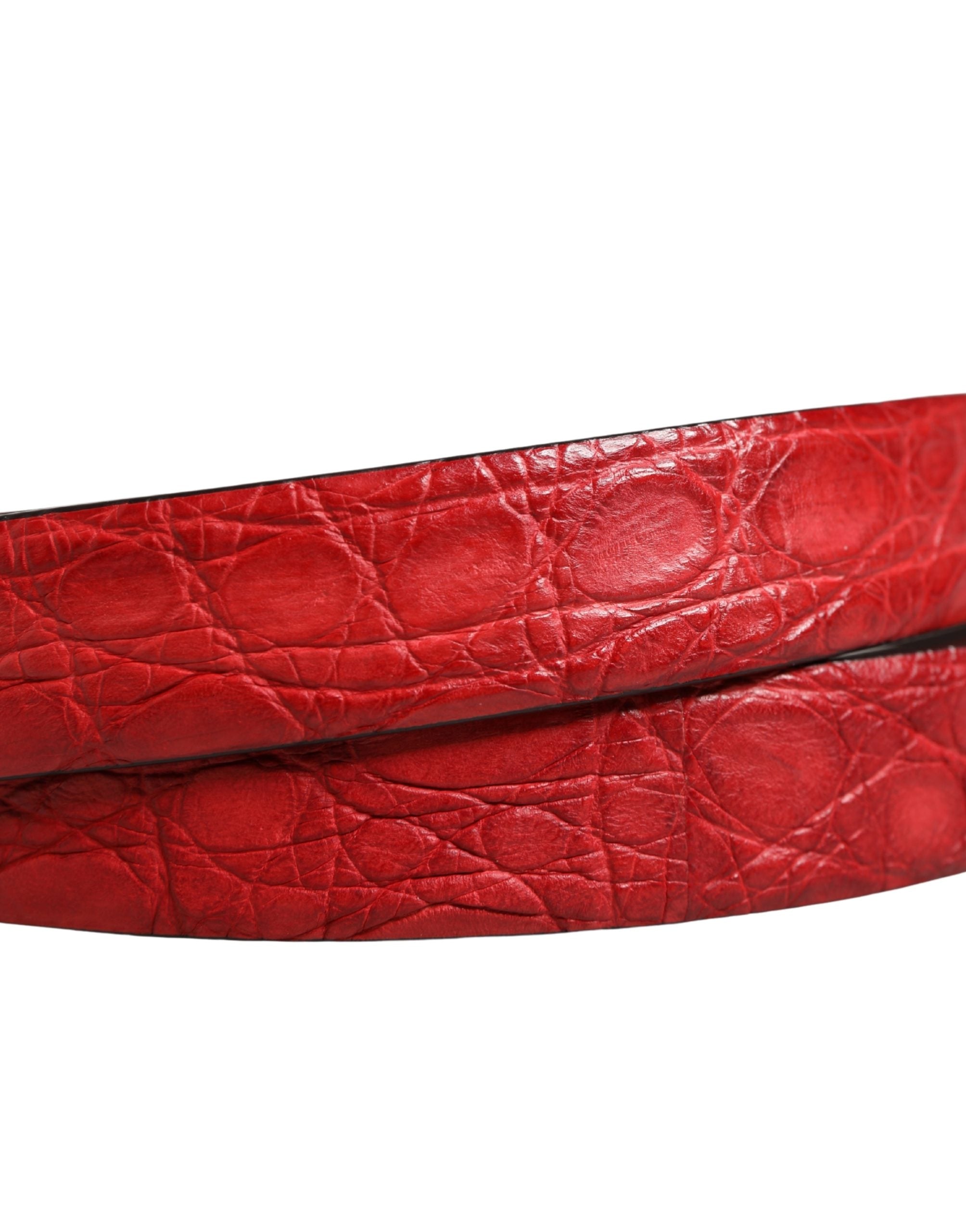 Dolce & Gabbana Men's Belt in Red Exotic Leather with Metal Buckle-5