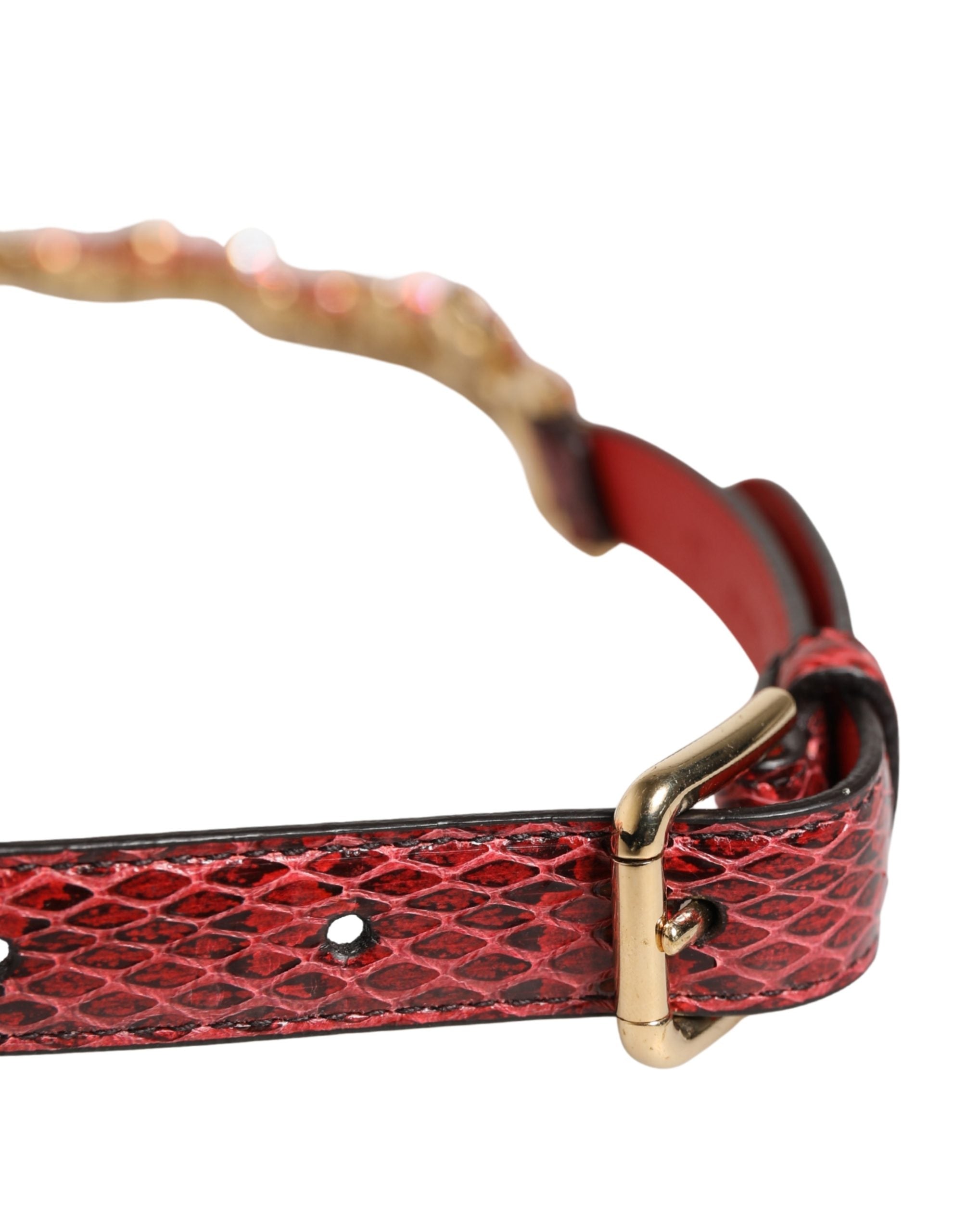 Dolce & Gabbana Red Leather Belt with Daisy Crystal Embellishment-4