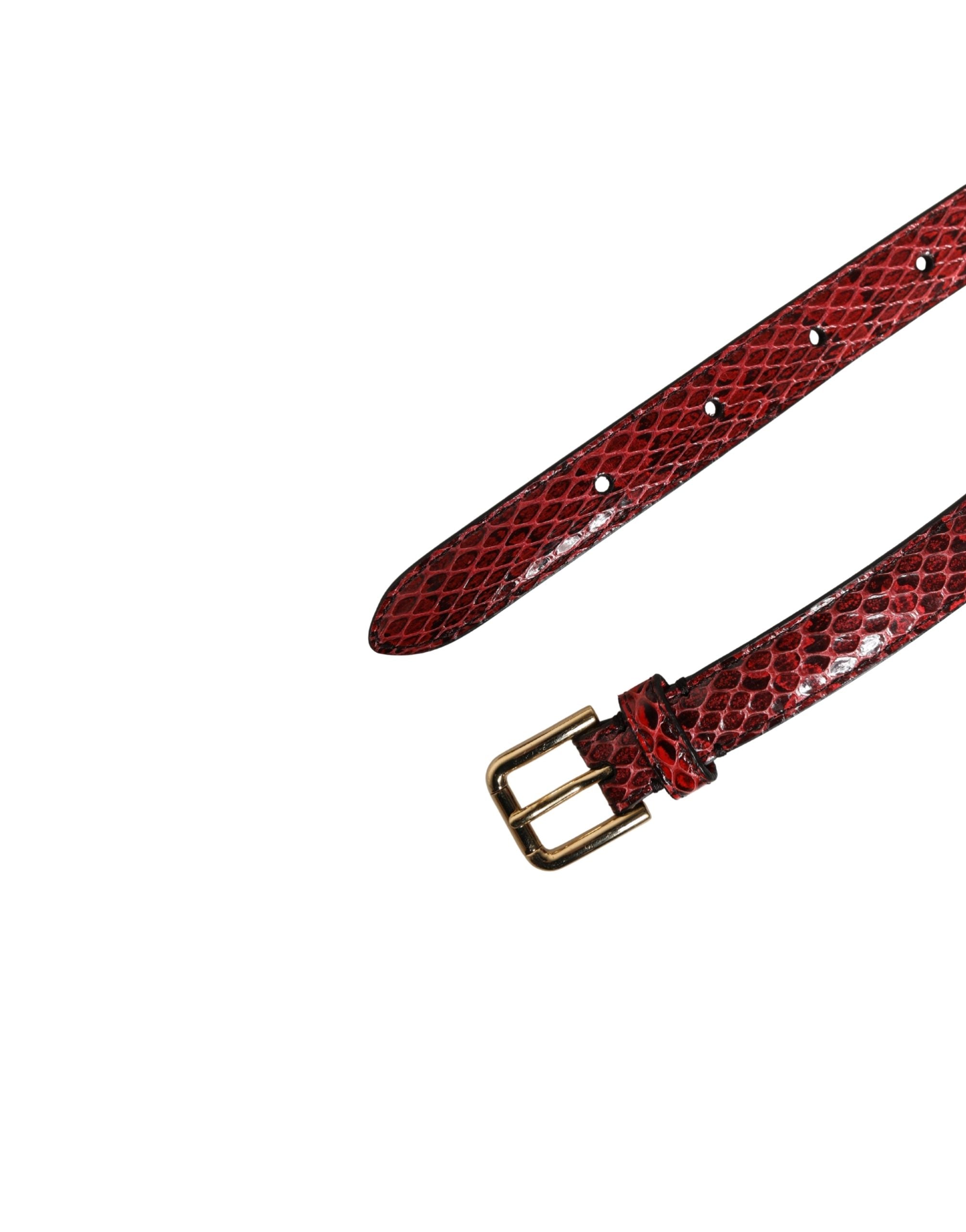 Dolce & Gabbana Red Leather Belt with Daisy Crystal Embellishment-8