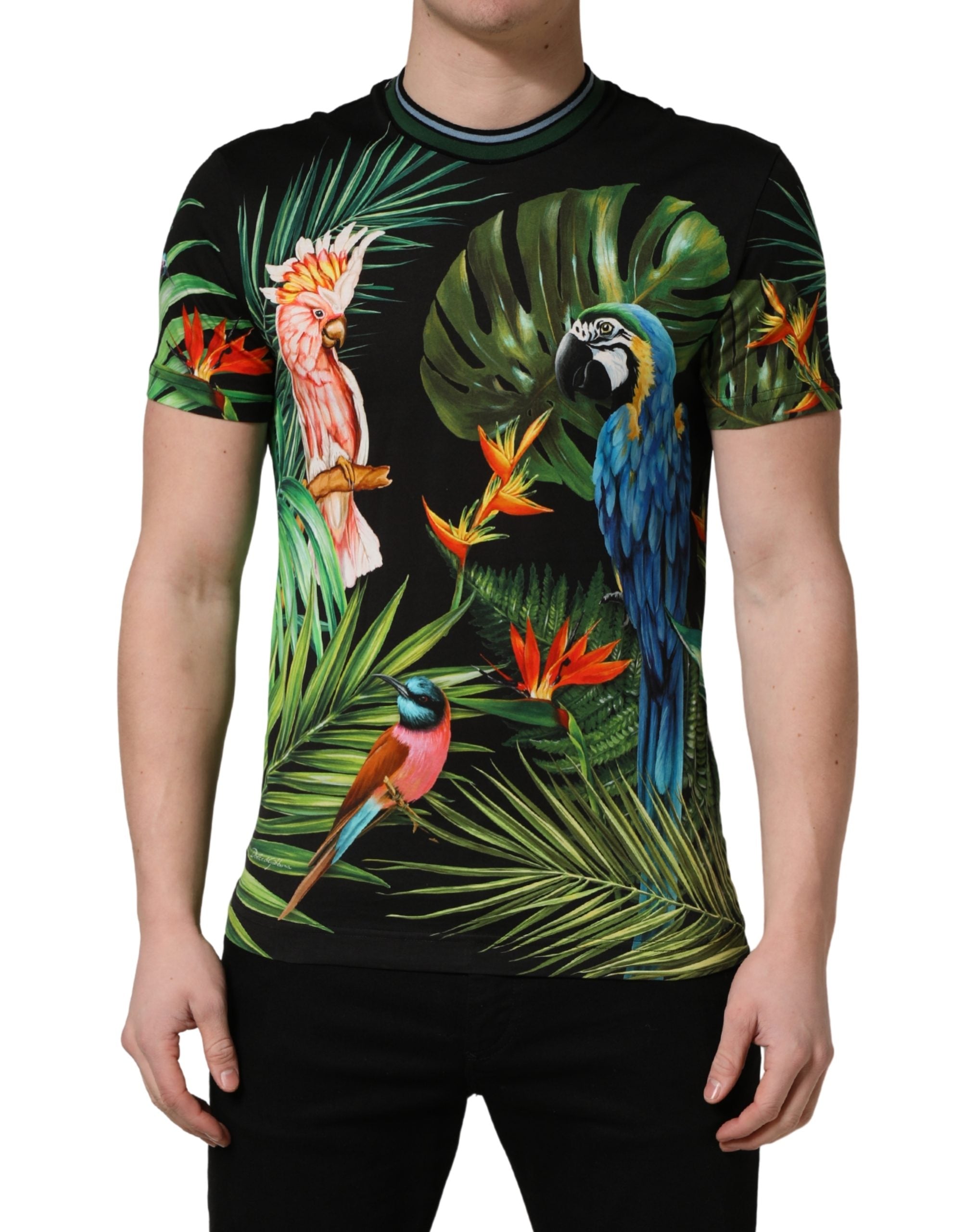 Dolce & Gabbana black men's T-shirt with bird print, made of cotton and with a round neck-2