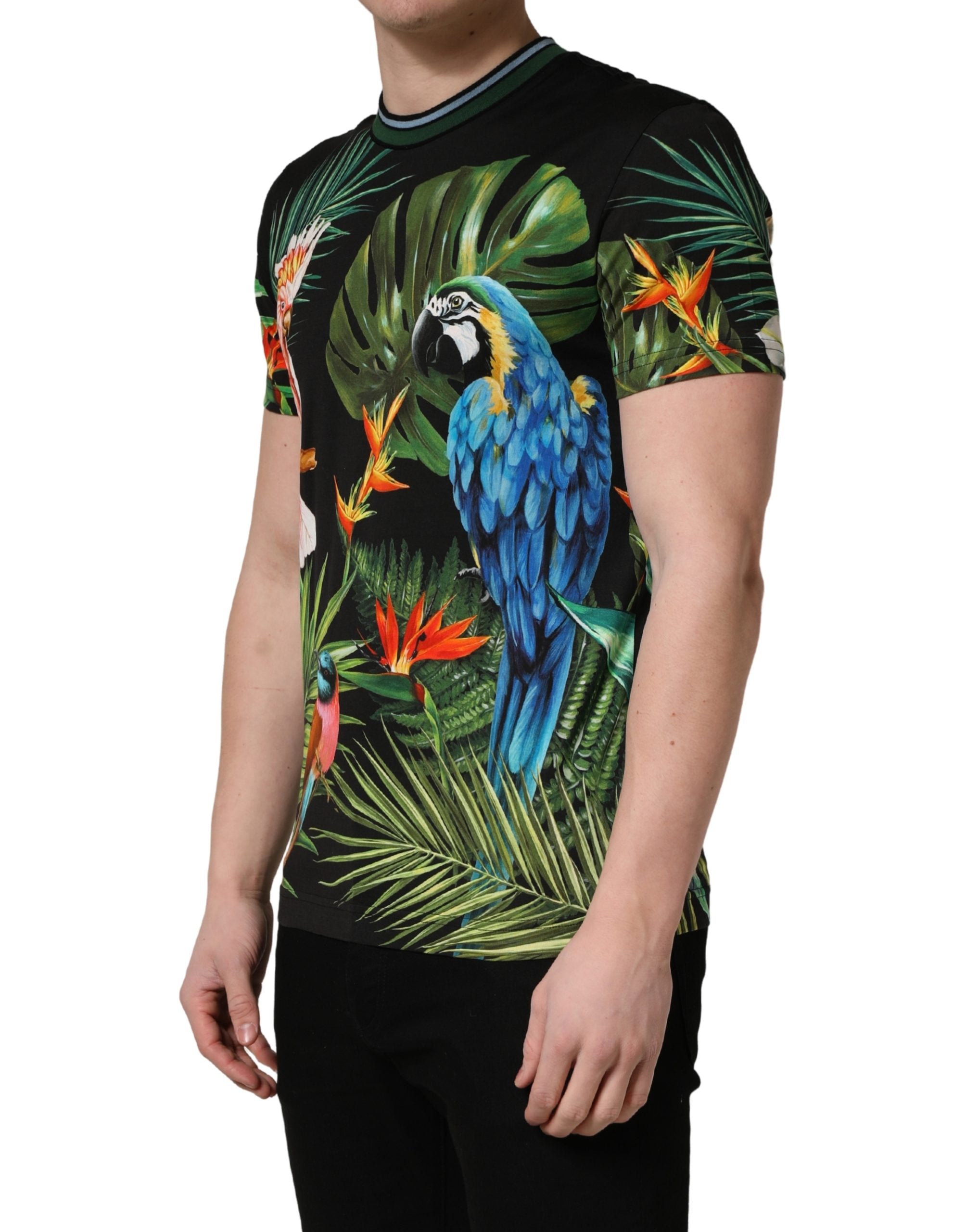 Dolce & Gabbana black men's T-shirt with bird print, made of cotton and with a round neck-3