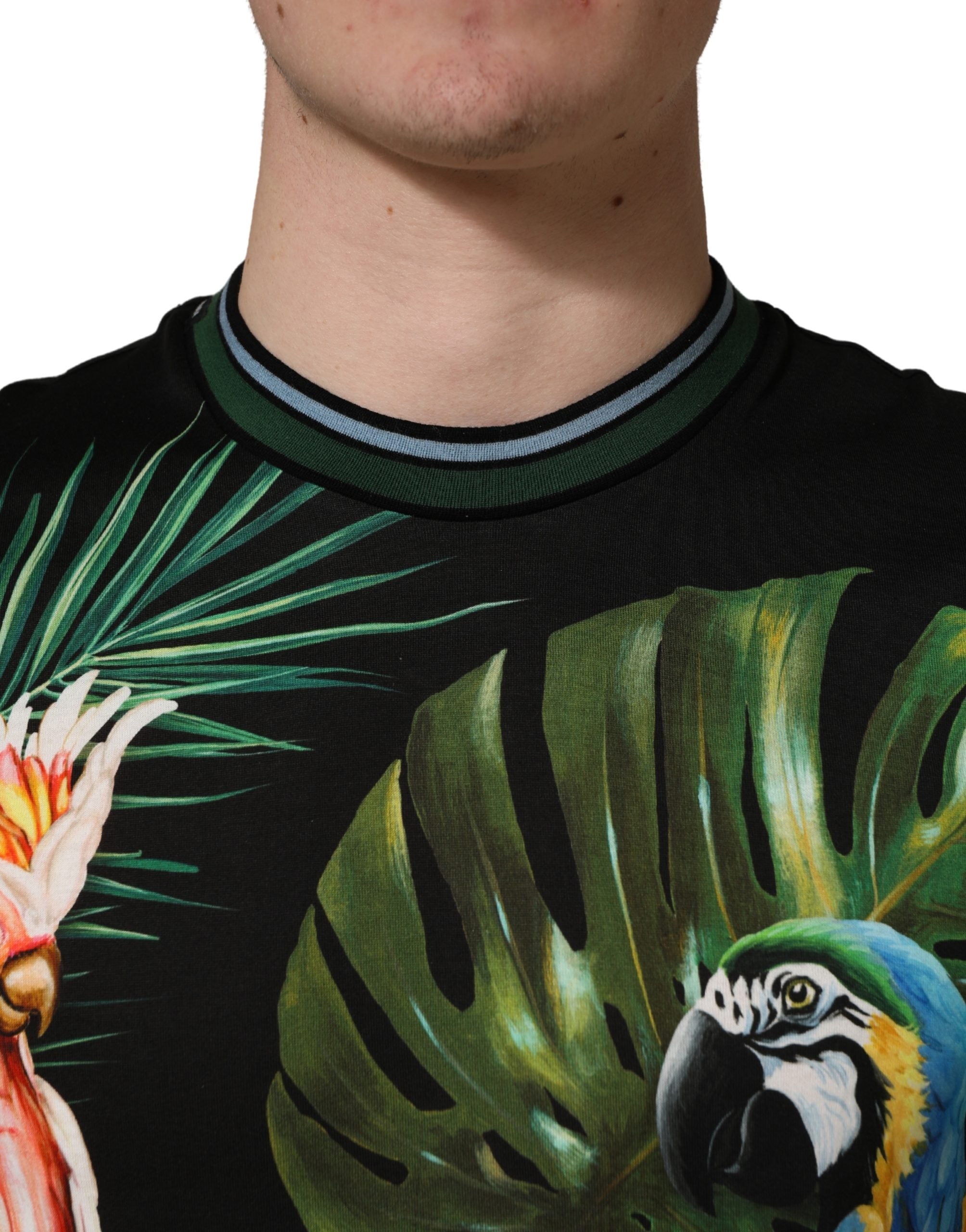 Dolce & Gabbana black men's T-shirt with bird print, made of cotton and with a round neck-5