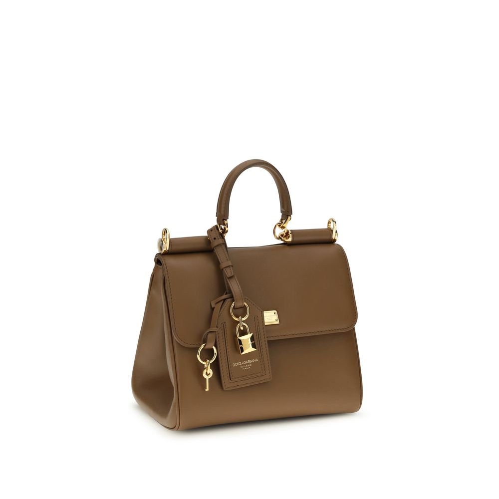 Dolce & Gabbana Braune Kalbsleder Bos Taurus Handtasche-2
