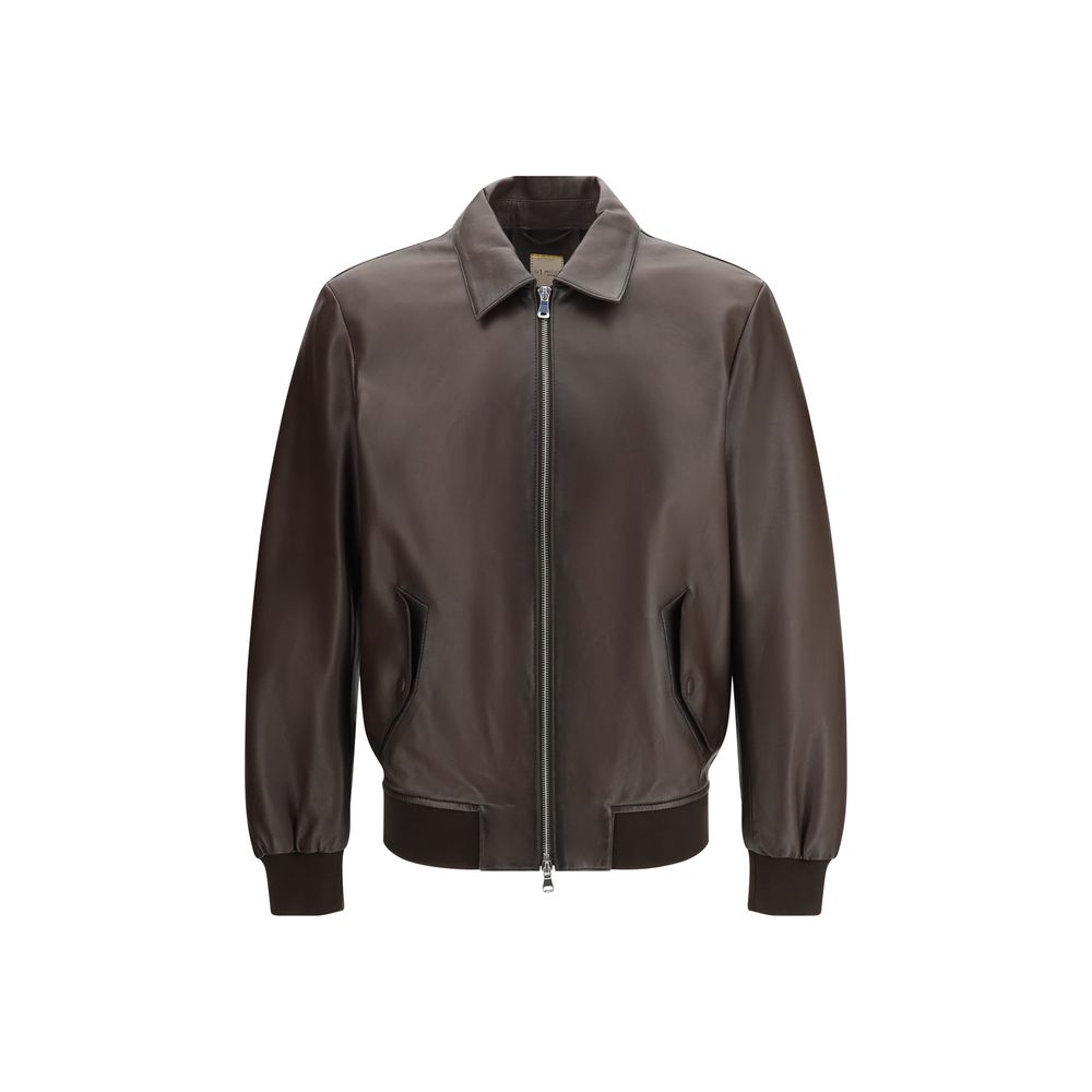 D'amico Brauner Lamm Ovis Aries Aries Bomber