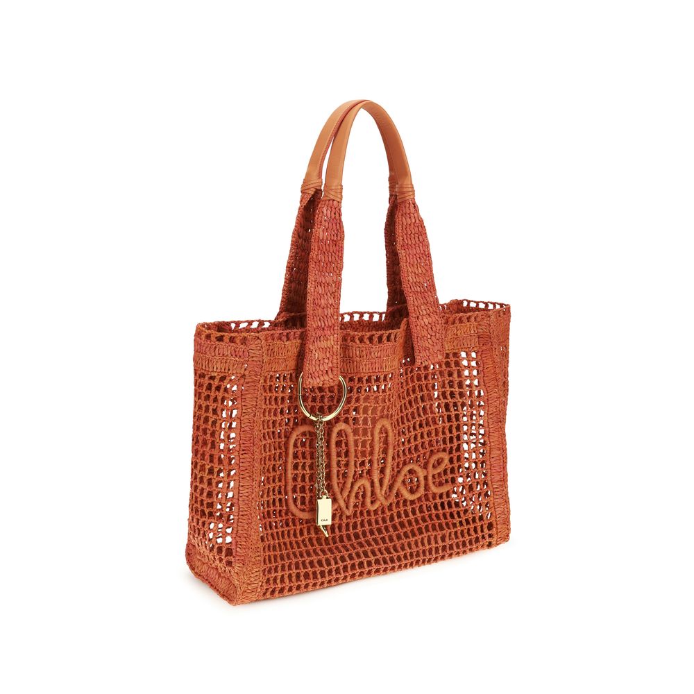 Chloé Multicolor Raffia Shoulder Bag-2