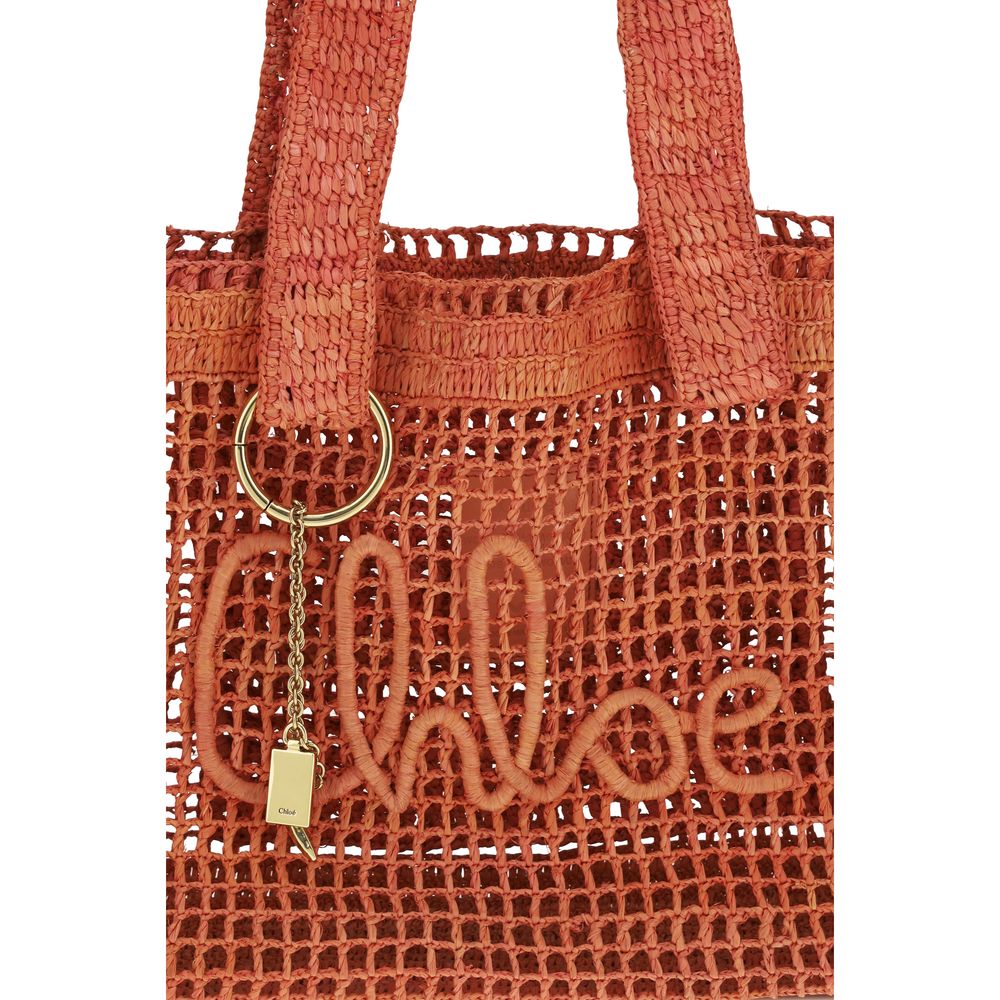 Chloé Multicolor Raffia Shoulder Bag-4