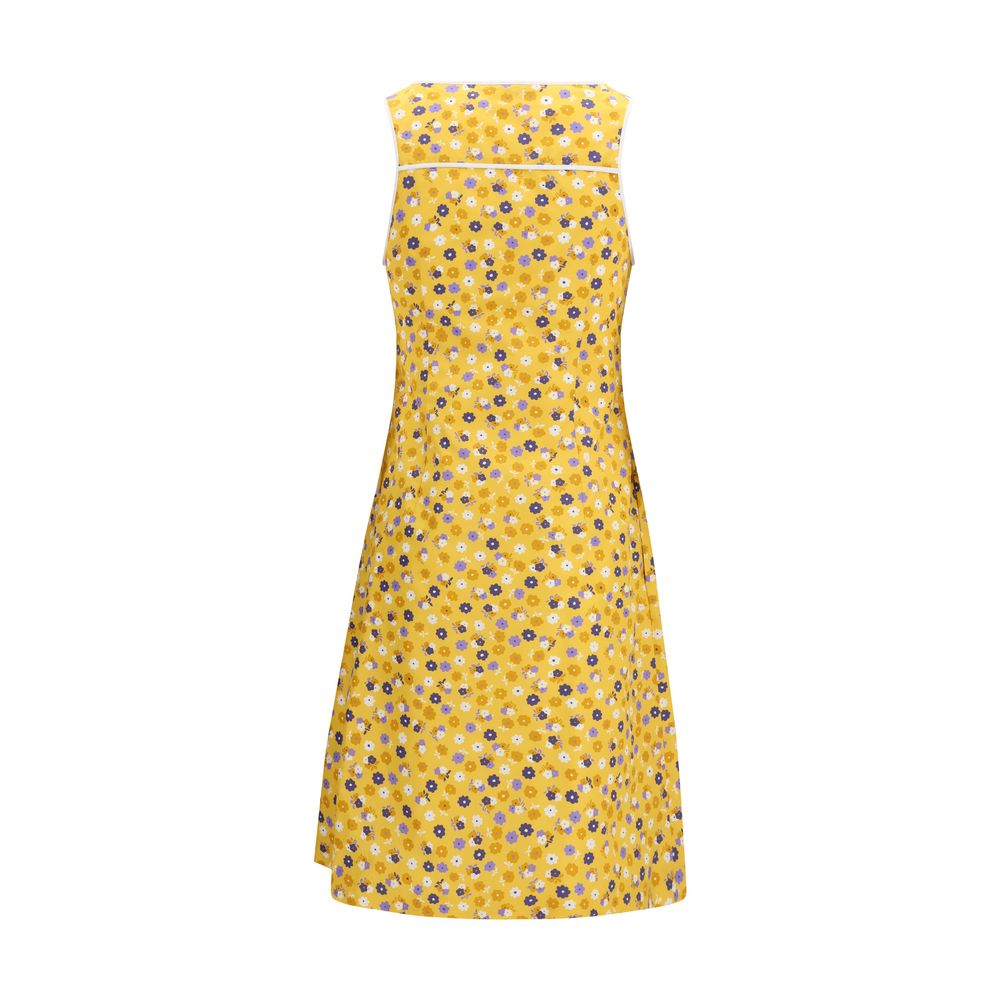 Miu Miu Zweifarbige Baumwoll-Freizeitkleid-2