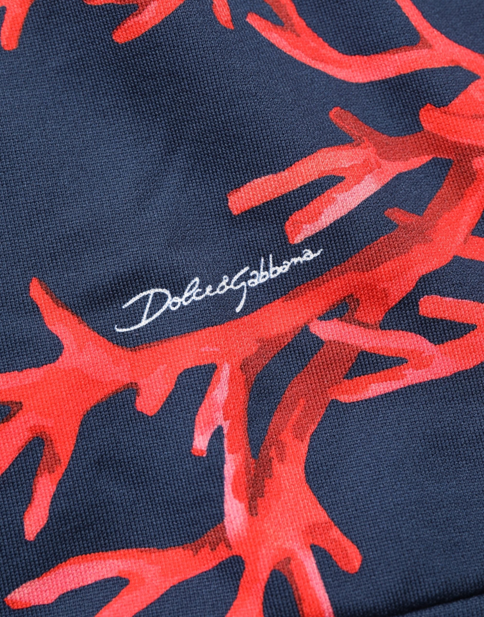 Dolce & Gabbana Blauer Kapuzenpullover aus Baumwolle mit Korallen-Logo-3