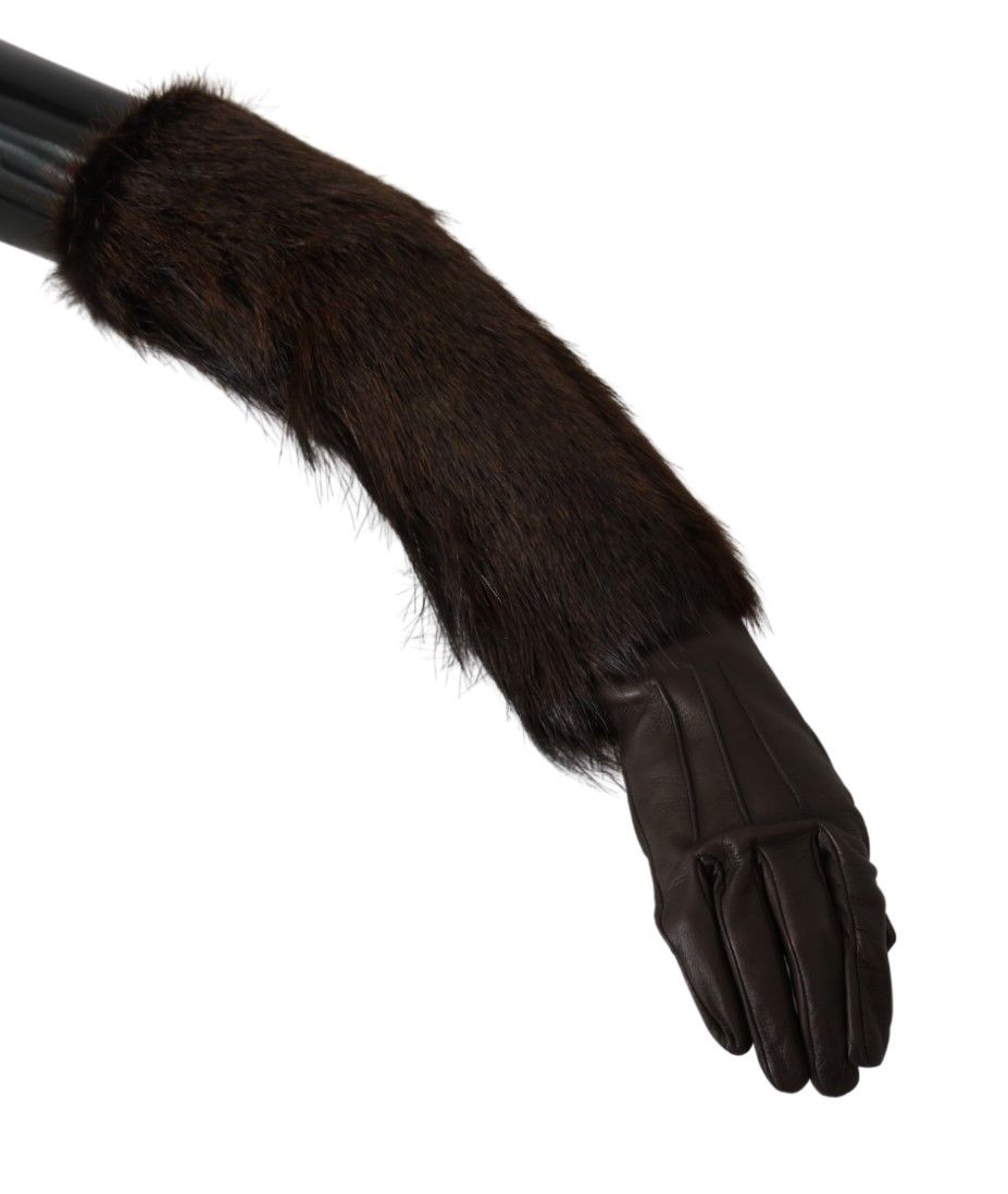 Guantes de piel y piel de color marrón Dolce & Gabbana hasta el codo-2
