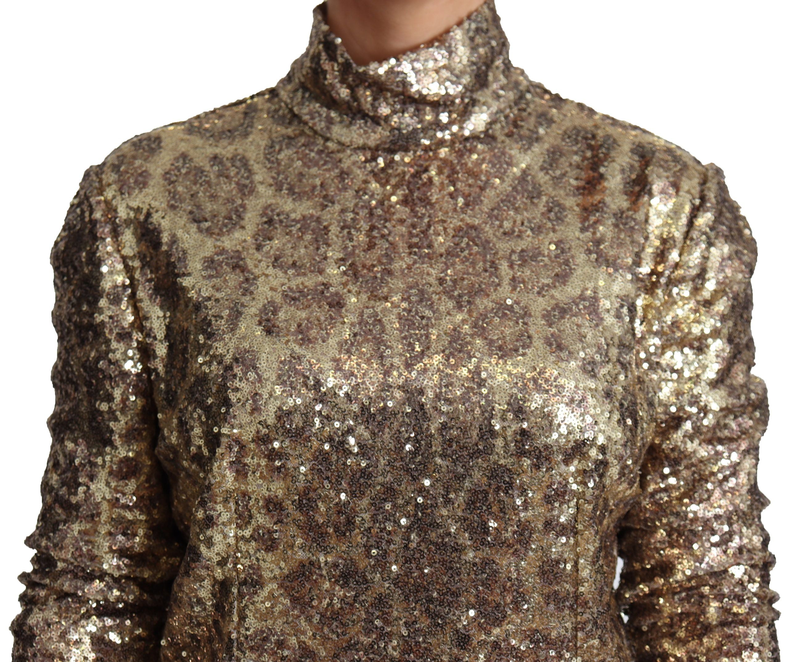 Dolce & Gabbana Brown Leopard Fit Turtleneck Sweater with Sequins-3