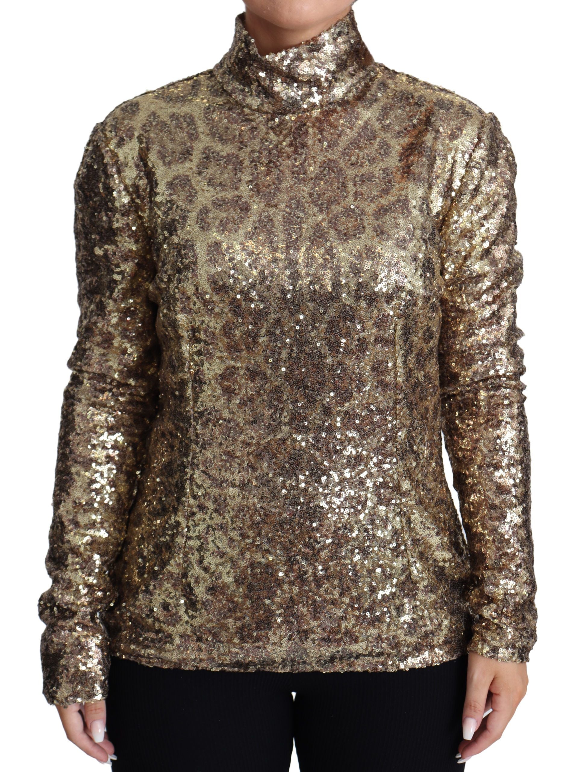 Dolce & Gabbana Brown Leopard Fit Turtleneck Sweater with Sequins-1
