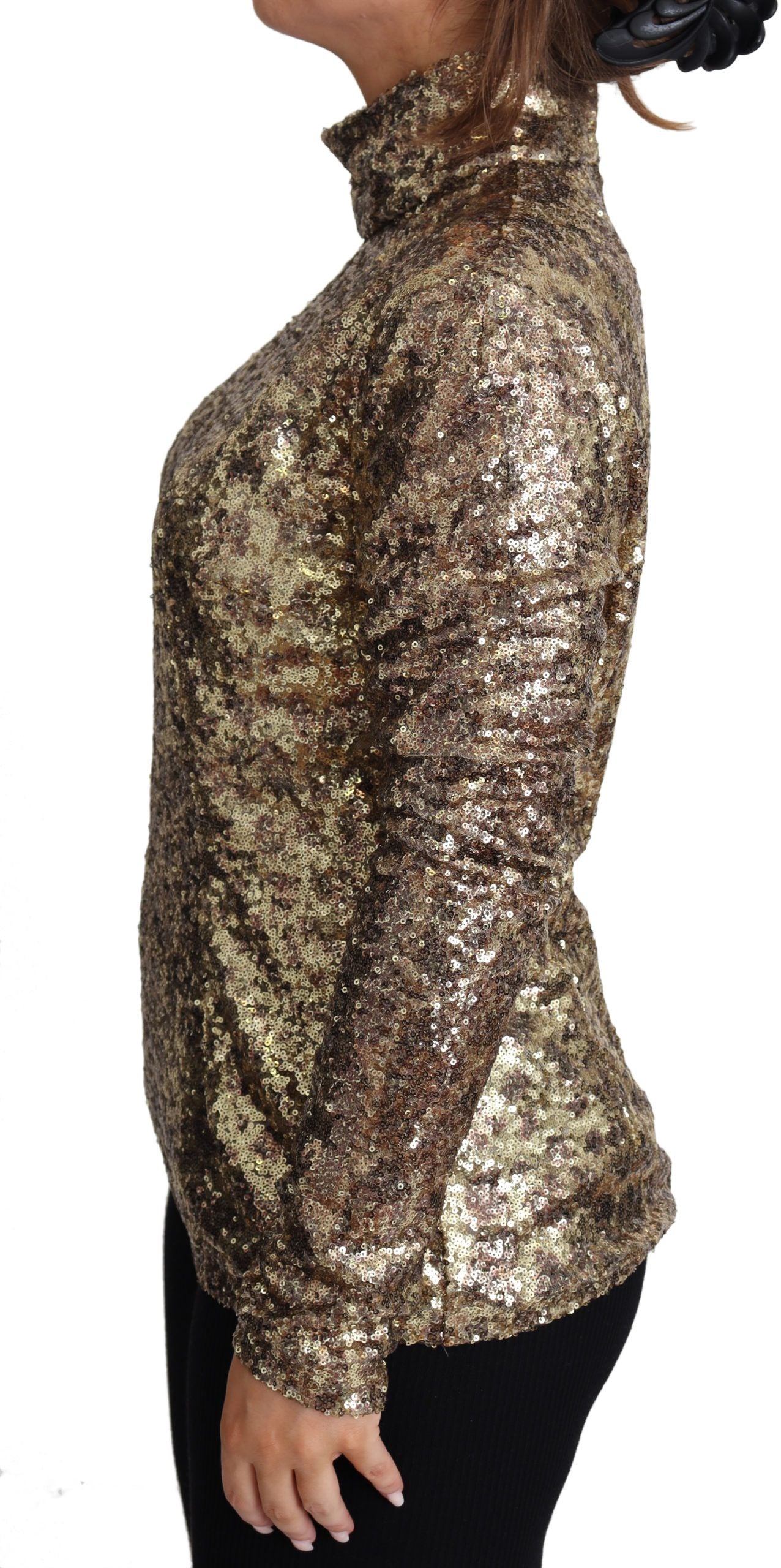 Dolce & Gabbana Brown Leopard Fit Turtleneck Sweater with Sequins-4