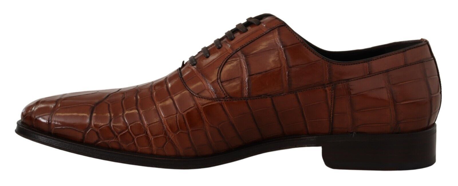 Dolce & Gabbana Brown Crocodile Leather Men's Derby Shoes-5