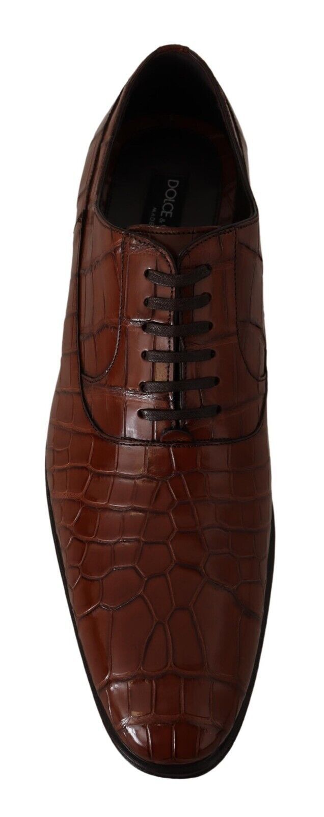 Dolce & Gabbana Brown Crocodile Leather Men's Derby Shoes-8