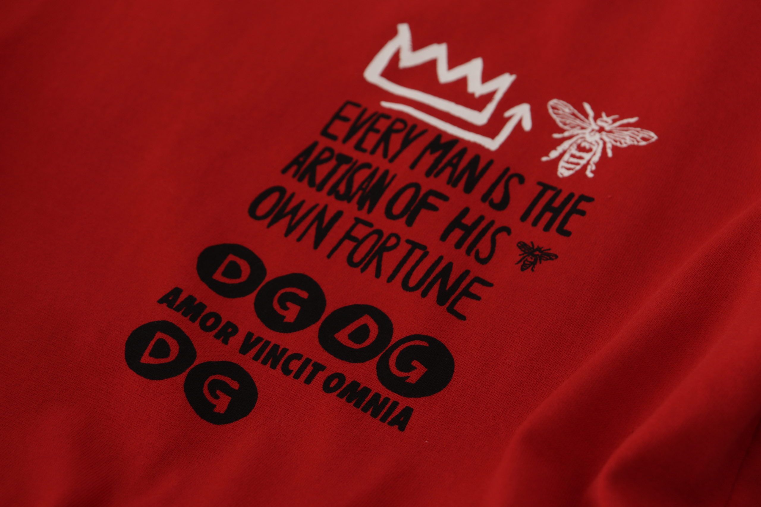 Dolce & Gabbana Red Amor Vincit Omnia T-Shirt with round neck-8