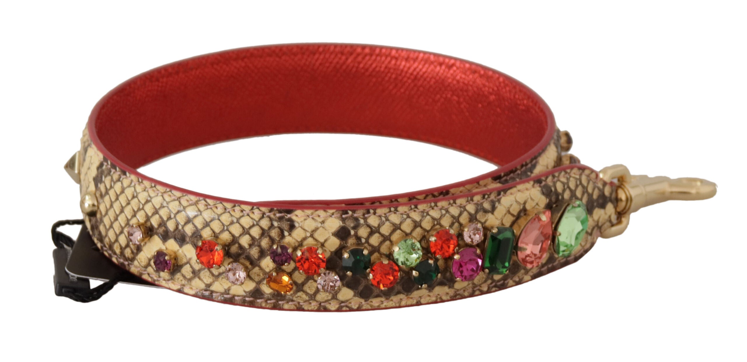 Dolce & Gabbana Beige Exotic Leather Crystals Schulterriemen-1