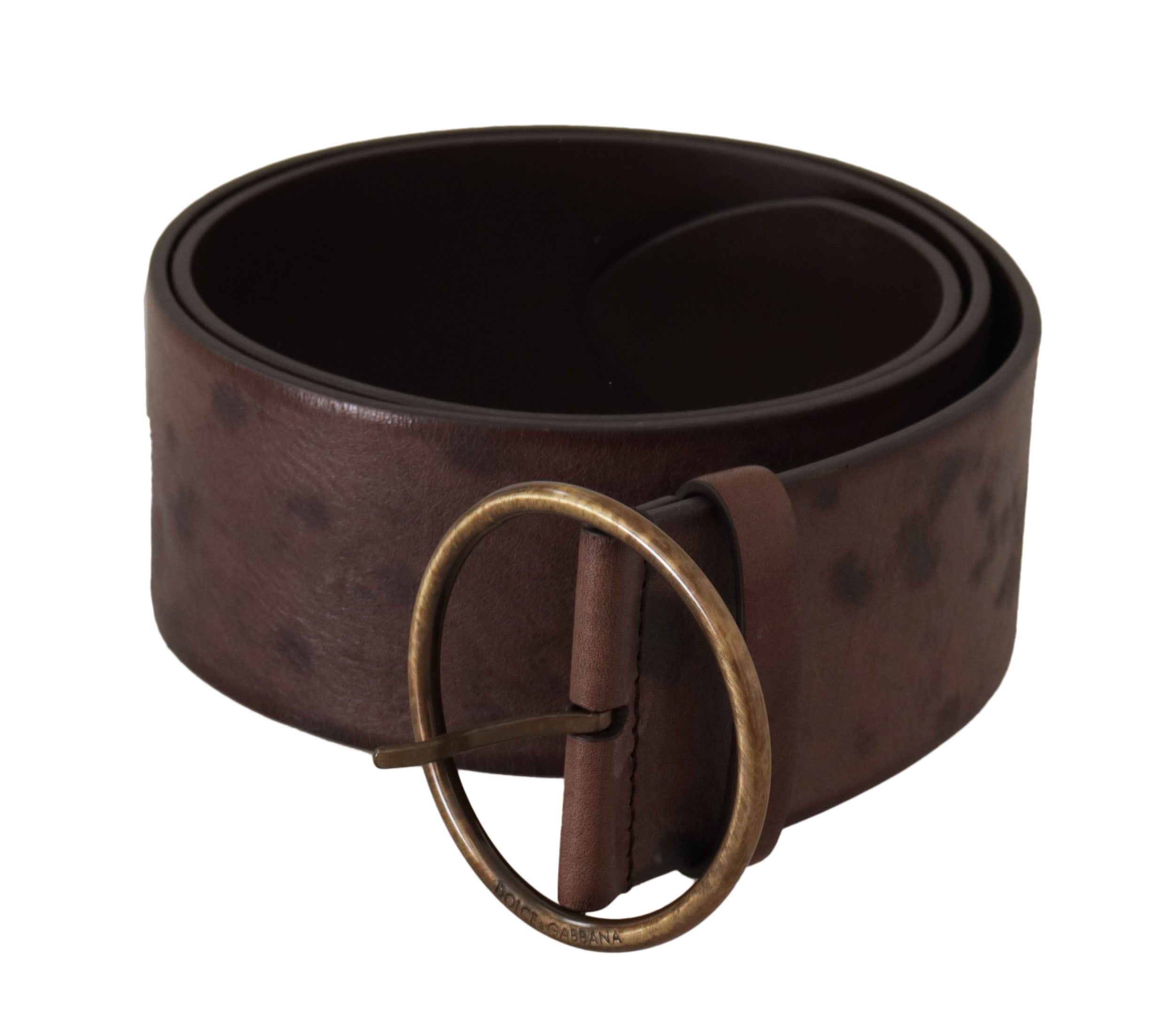 Dolce & Gabbana dark brown wide calfskin logo belt with round buckle-1
