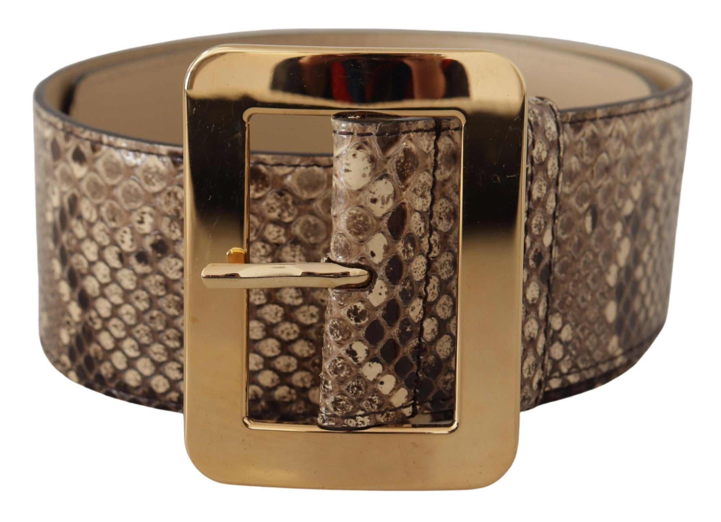 Dolce & Gabbana brown exotic wide leather belt with gold metal buckle