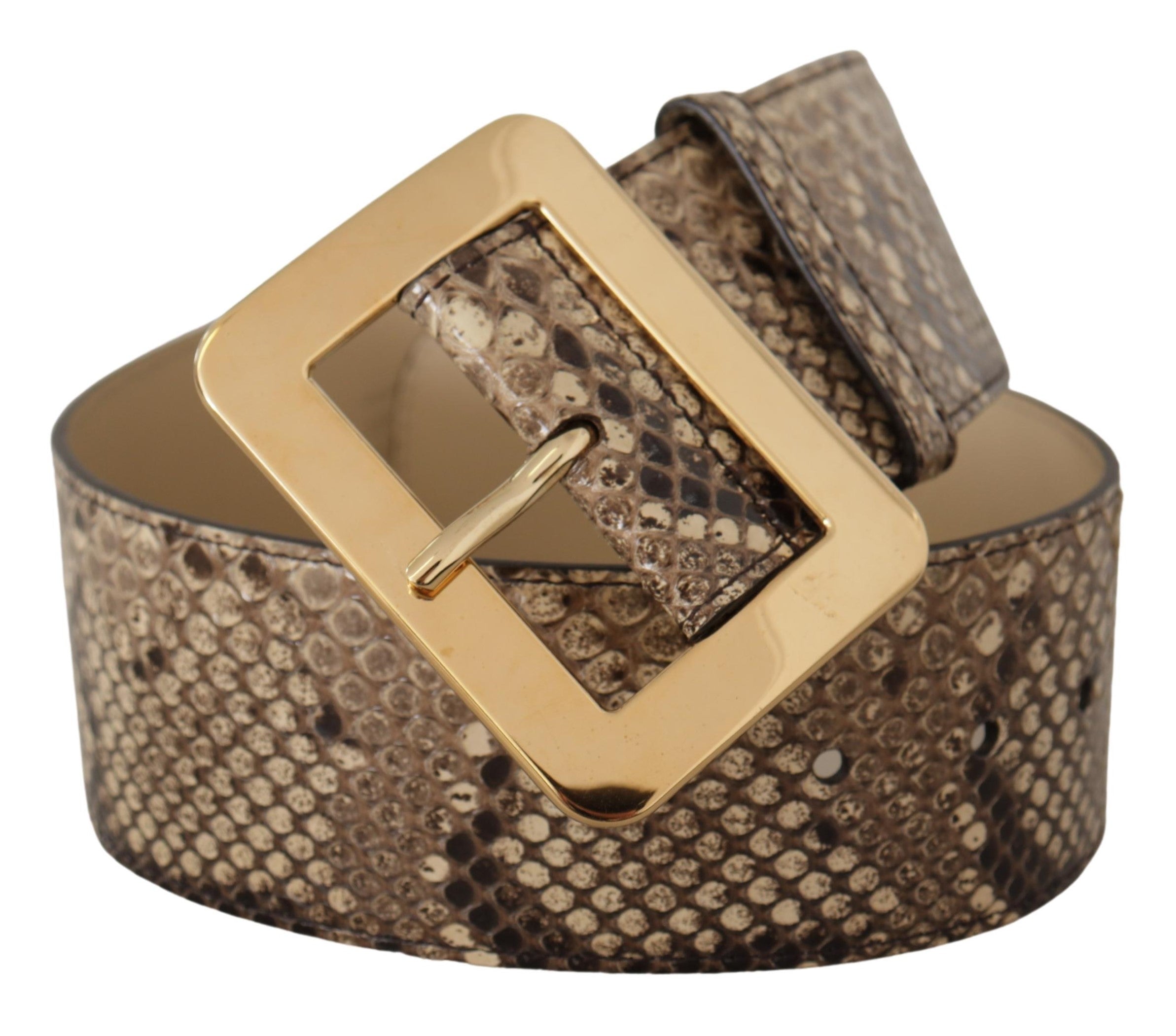 Dolce & Gabbana brown exotic wide leather belt with gold metal buckle-2