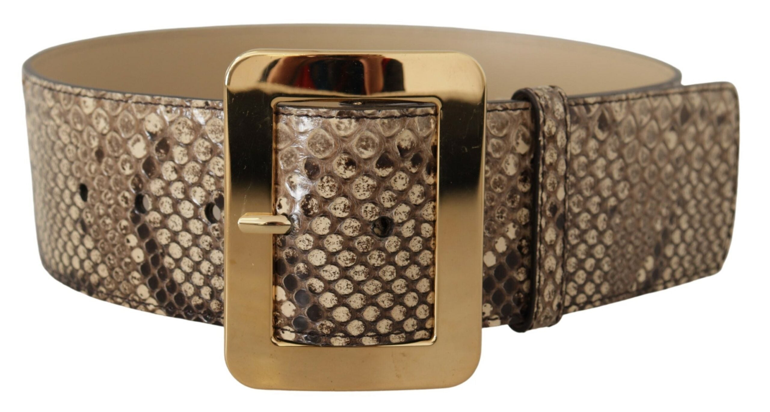 Dolce & Gabbana brown exotic wide leather belt with gold metal buckle-3