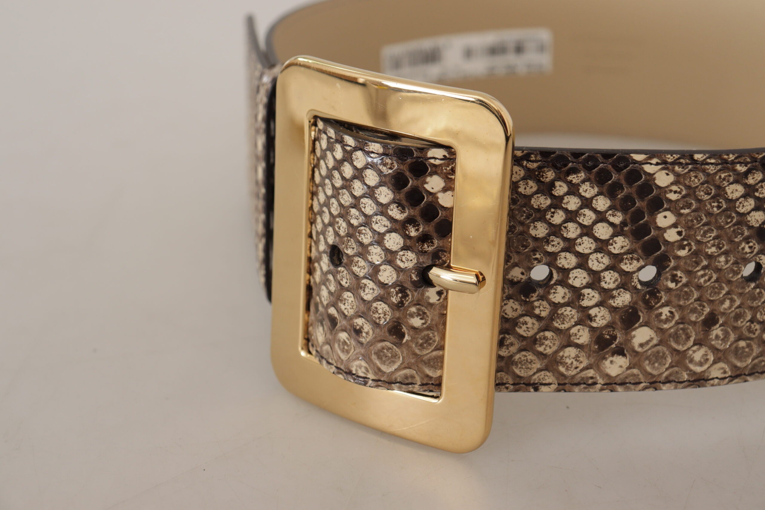 Dolce & Gabbana brown exotic wide leather belt with gold metal buckle-4