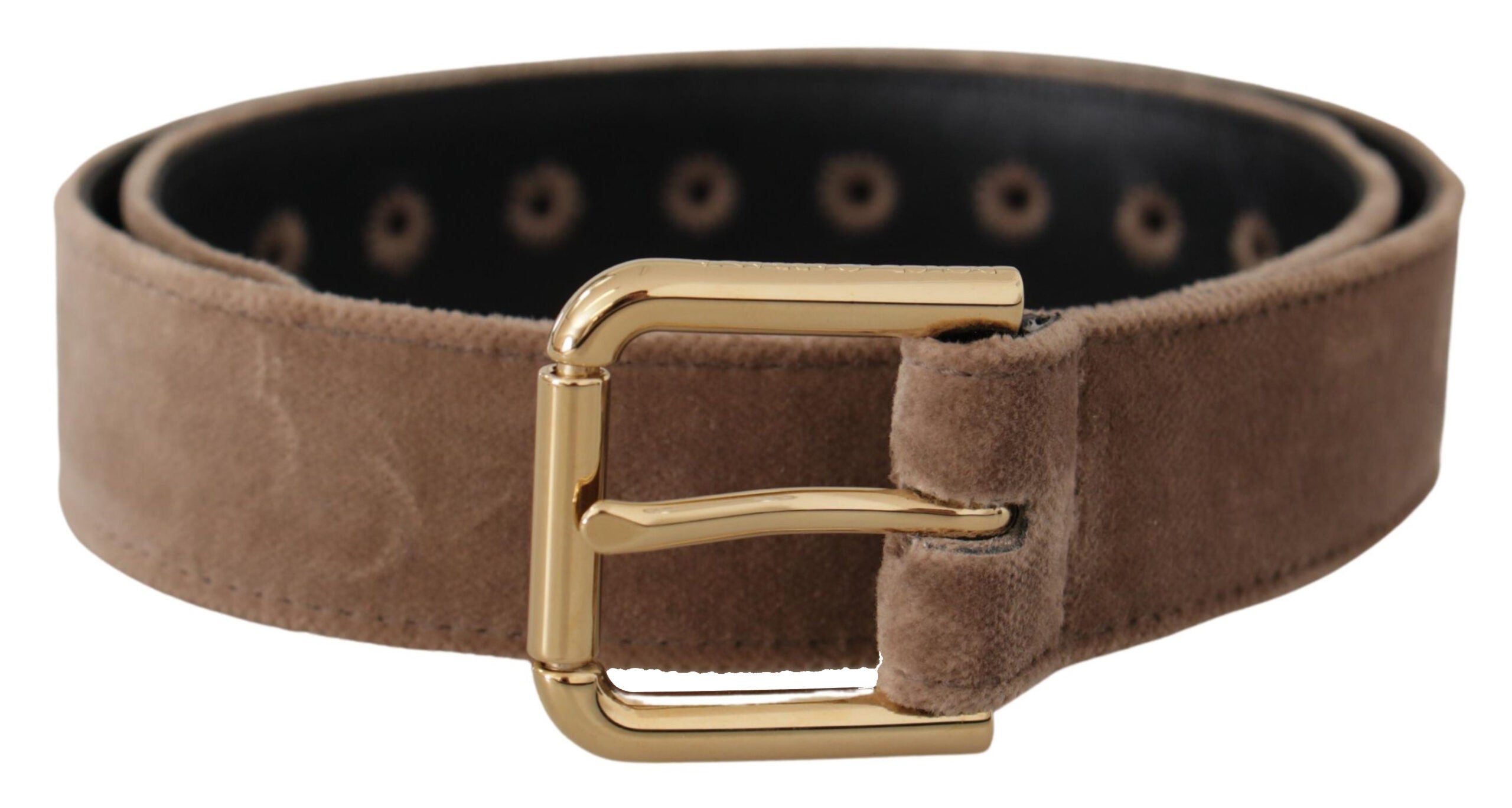 Dolce & Gabbana light brown velvet belt with gold-tone logo metal buckle-1