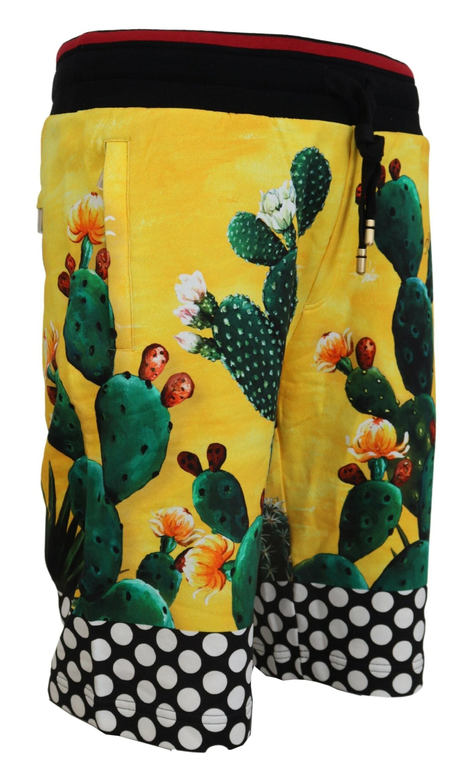 Dolce & Gabbana Multicolor Cactus Print Cotton Sweat Shorts-2
