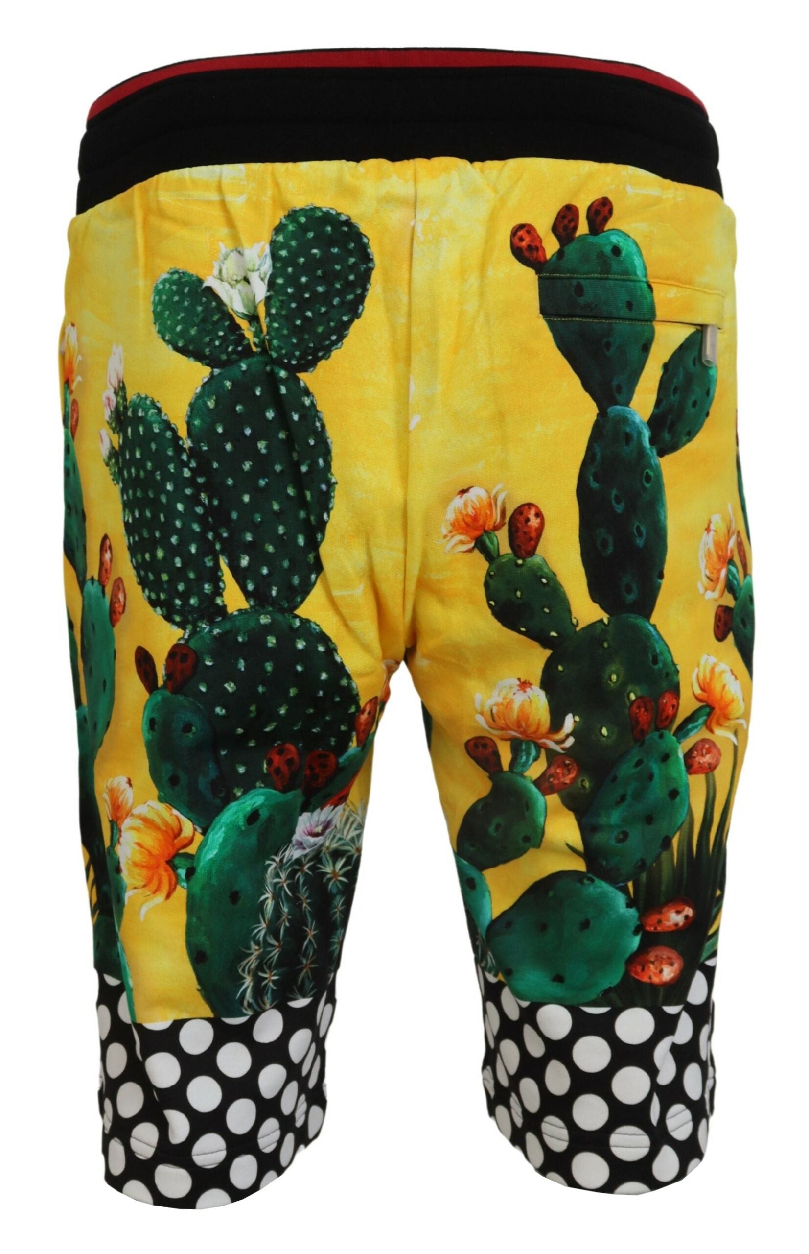Dolce & Gabbana Multicolor Cactus Print Cotton Sweat Shorts-3