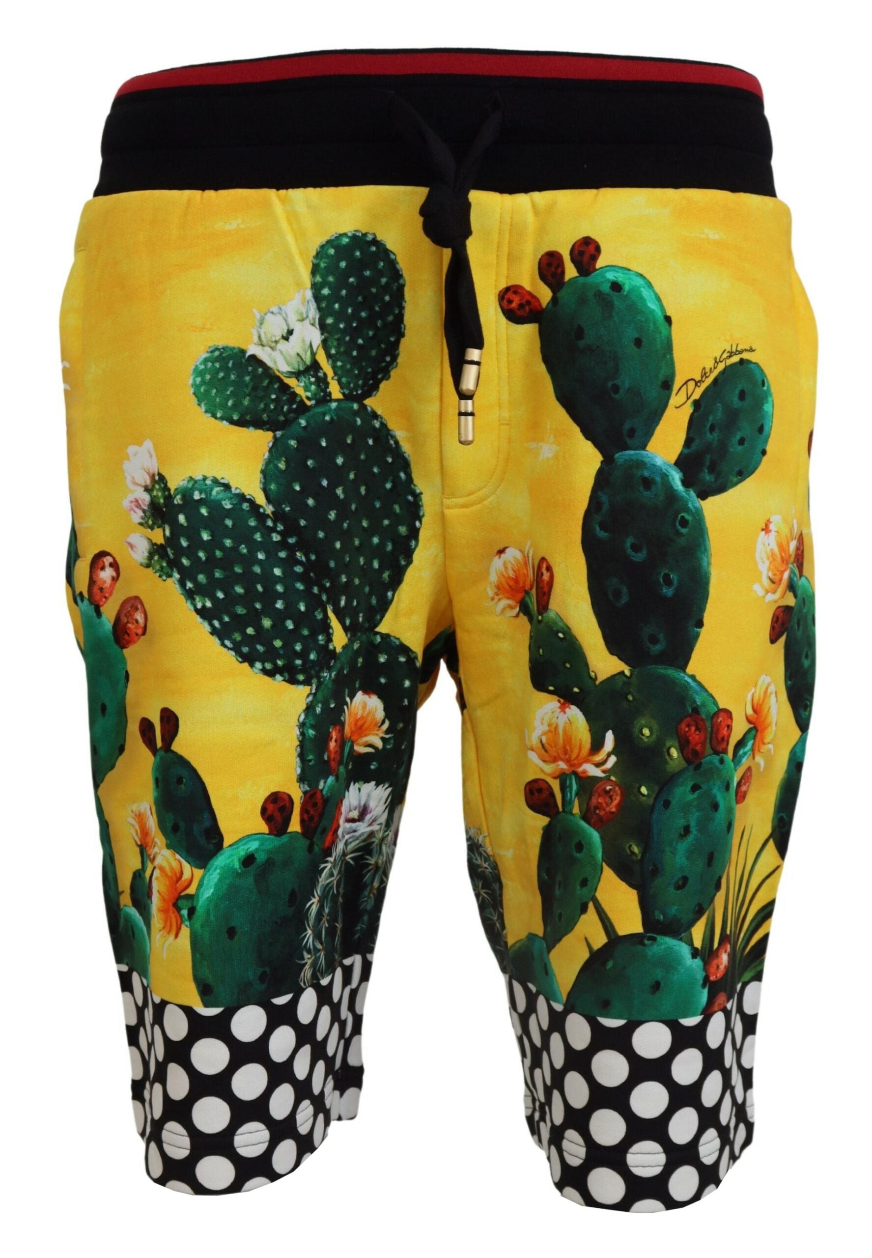 Dolce & Gabbana Multicolor Cactus Print Cotton Sweat Shorts-1