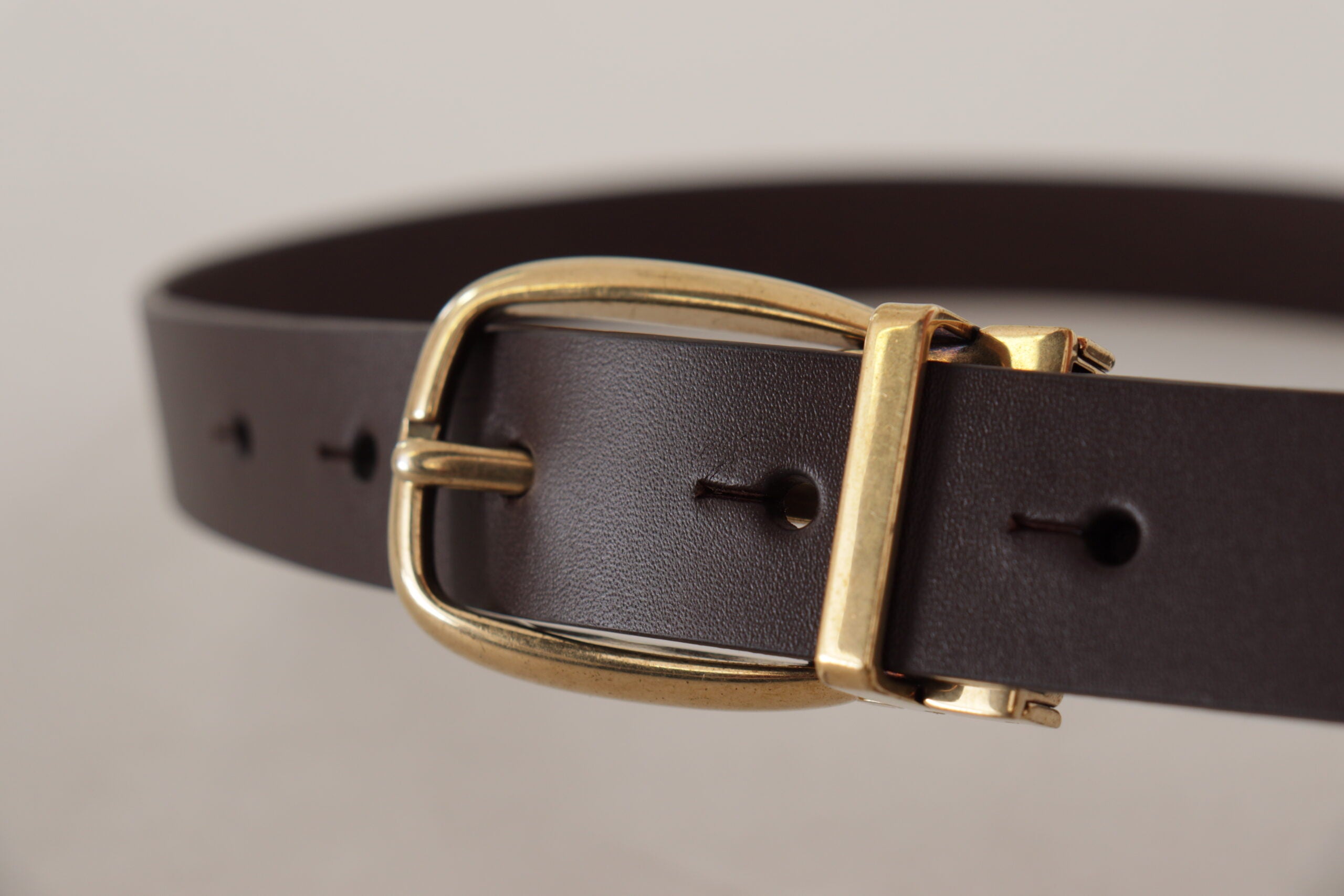 Dolce & Gabbana Dunkelbraunes Kalbsleder Goldfarbene Metallschnalle-4