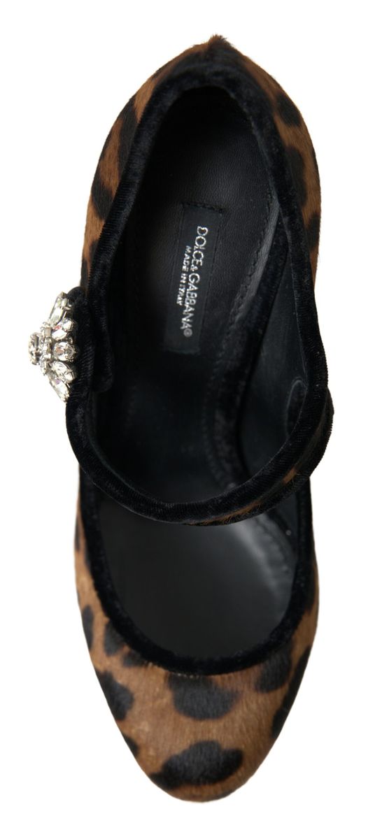 Zapatos Mary Jane de tacón de leopardo en becerro negro y marrón de Dolce & Gabbana-5