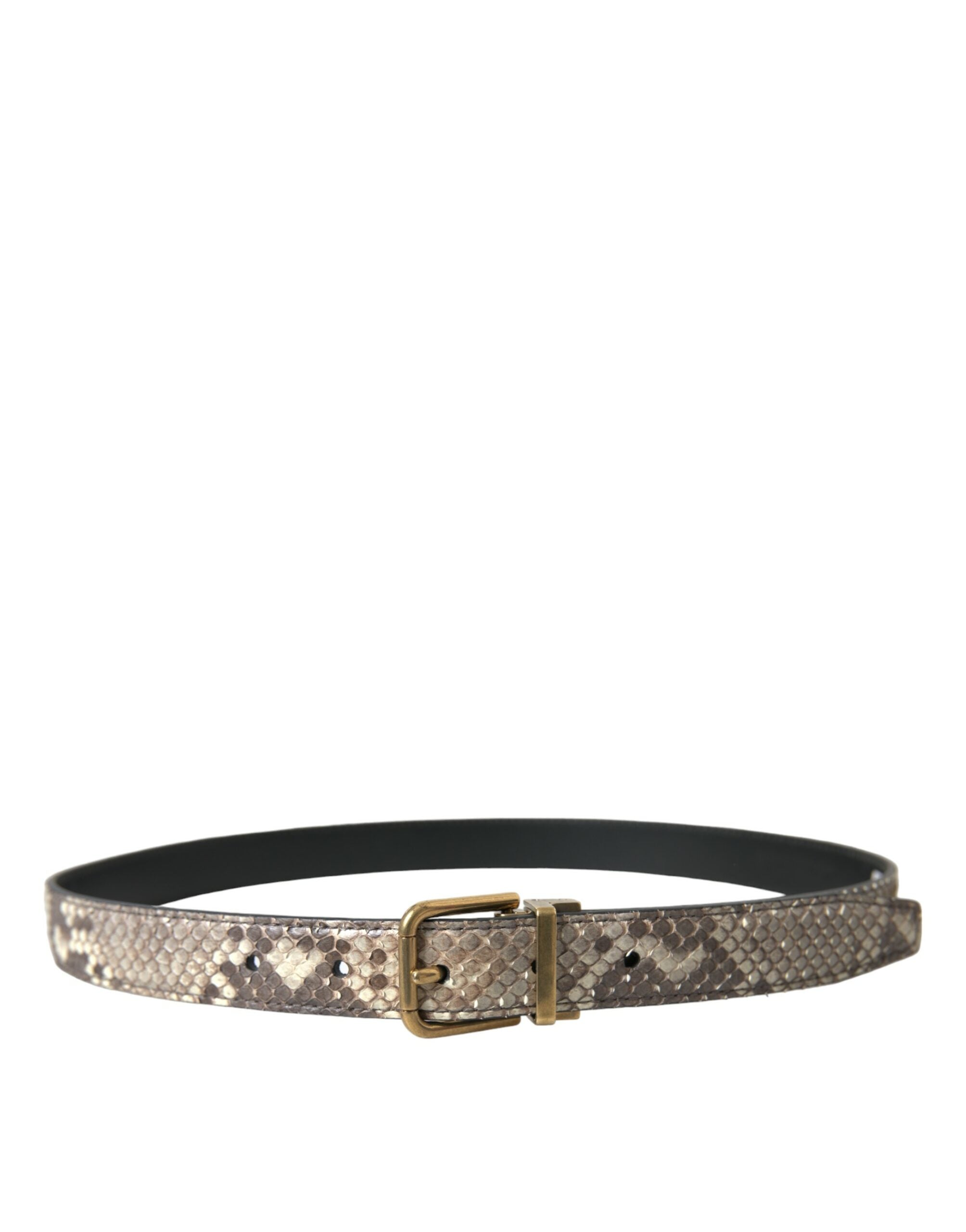 Dolce & Gabbana brown python leather belt with gold metal buckle-2