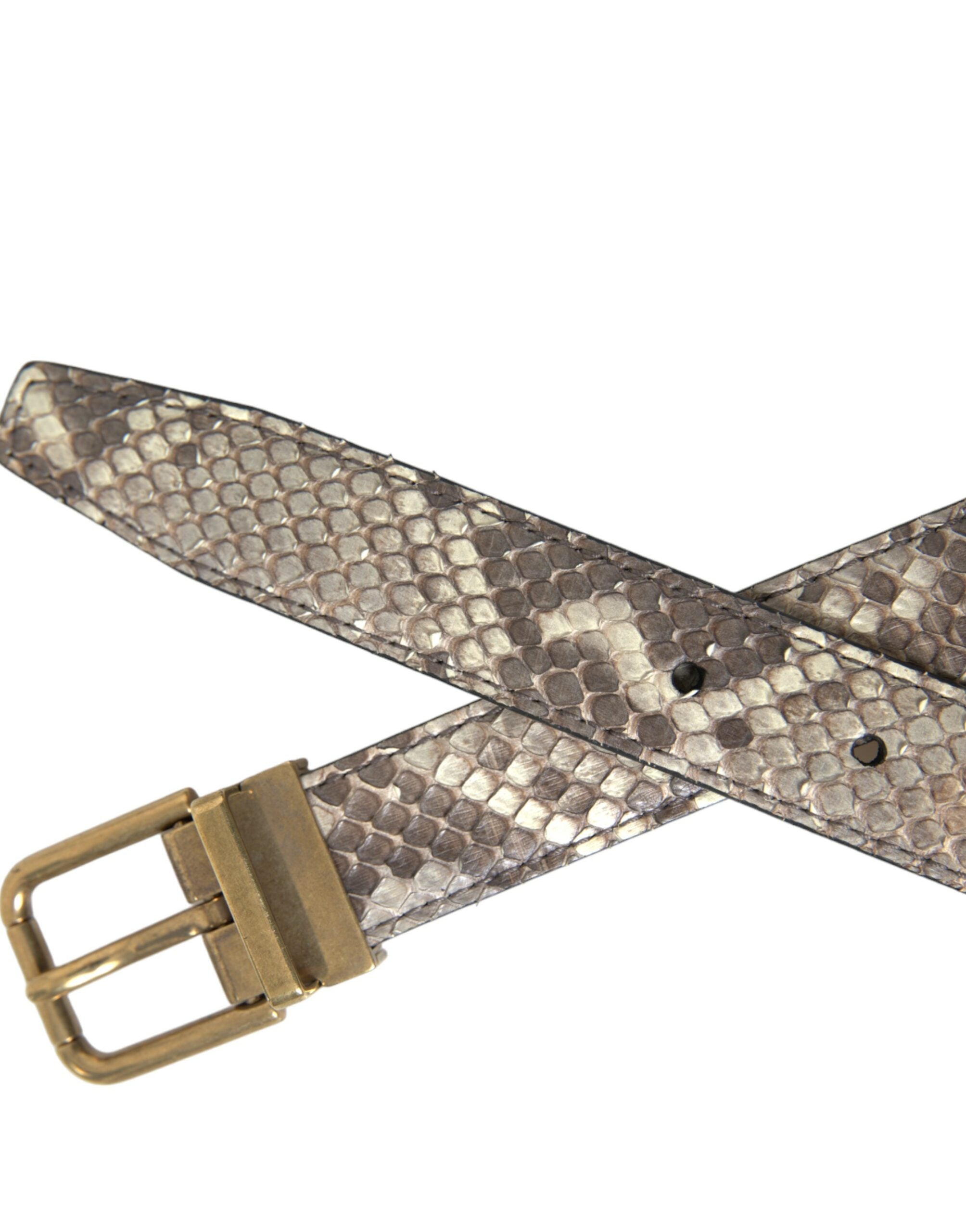 Dolce & Gabbana brown python leather belt with gold metal buckle-4