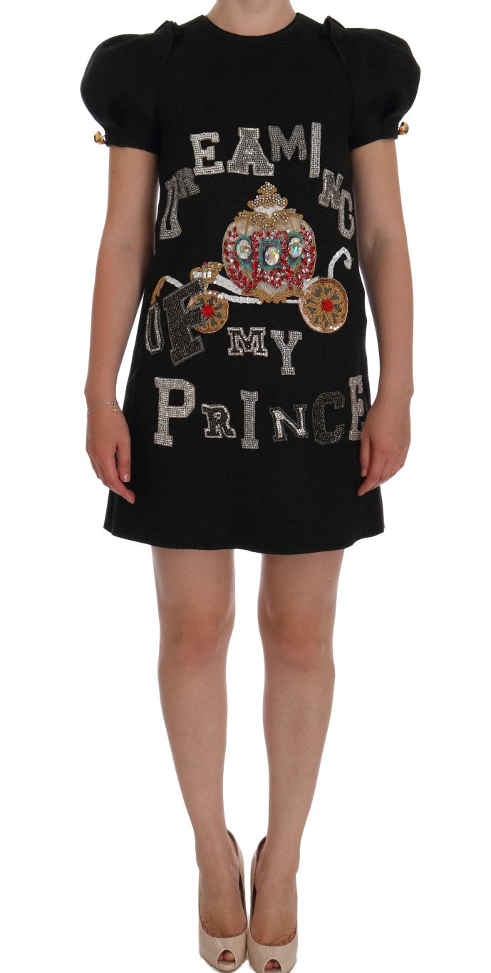 Dolce & Gabbana Grey Crystal Dress "Dreams of My Prince"