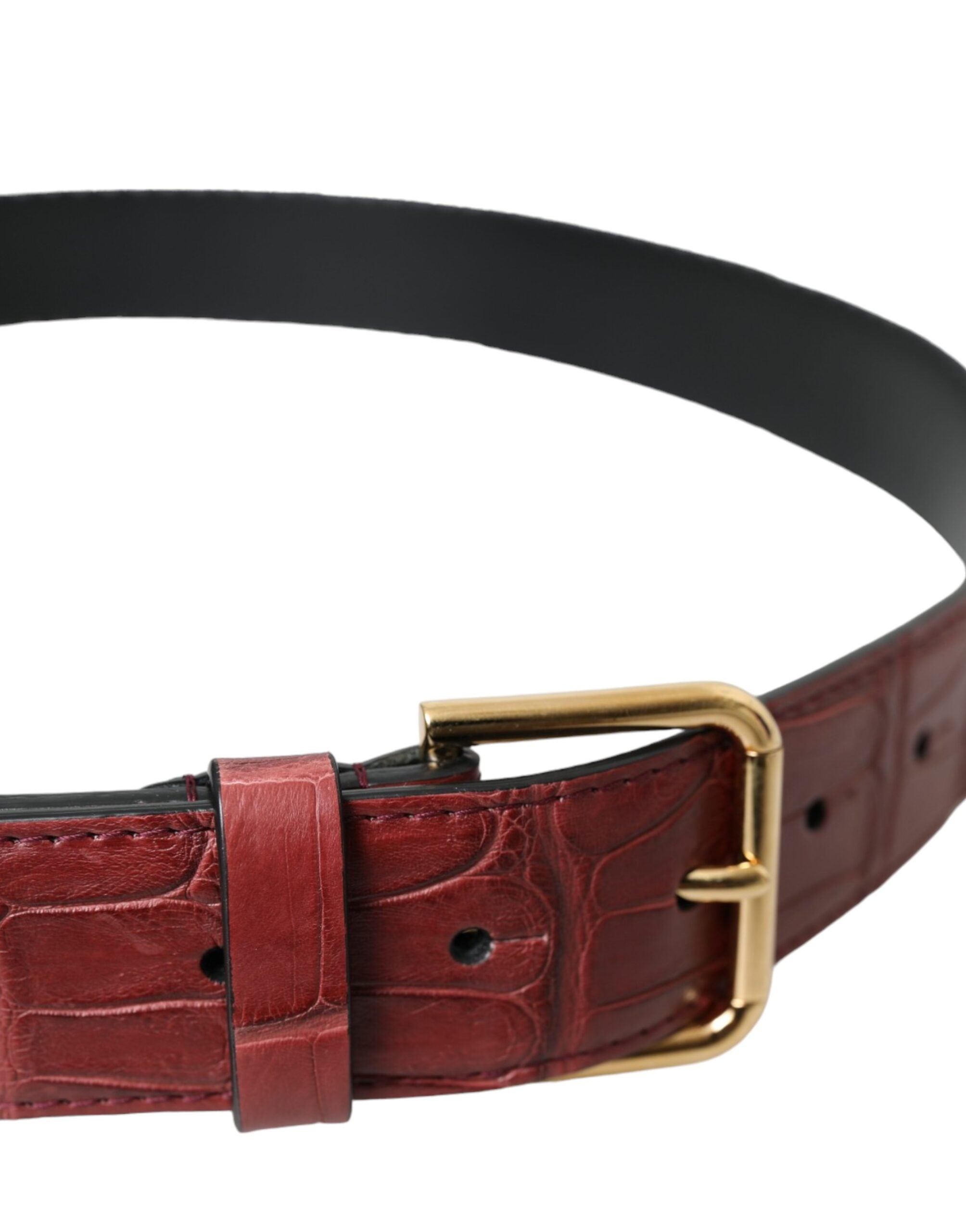 Dolce & Gabbana brown alligator leather belt with metal buckle-3
