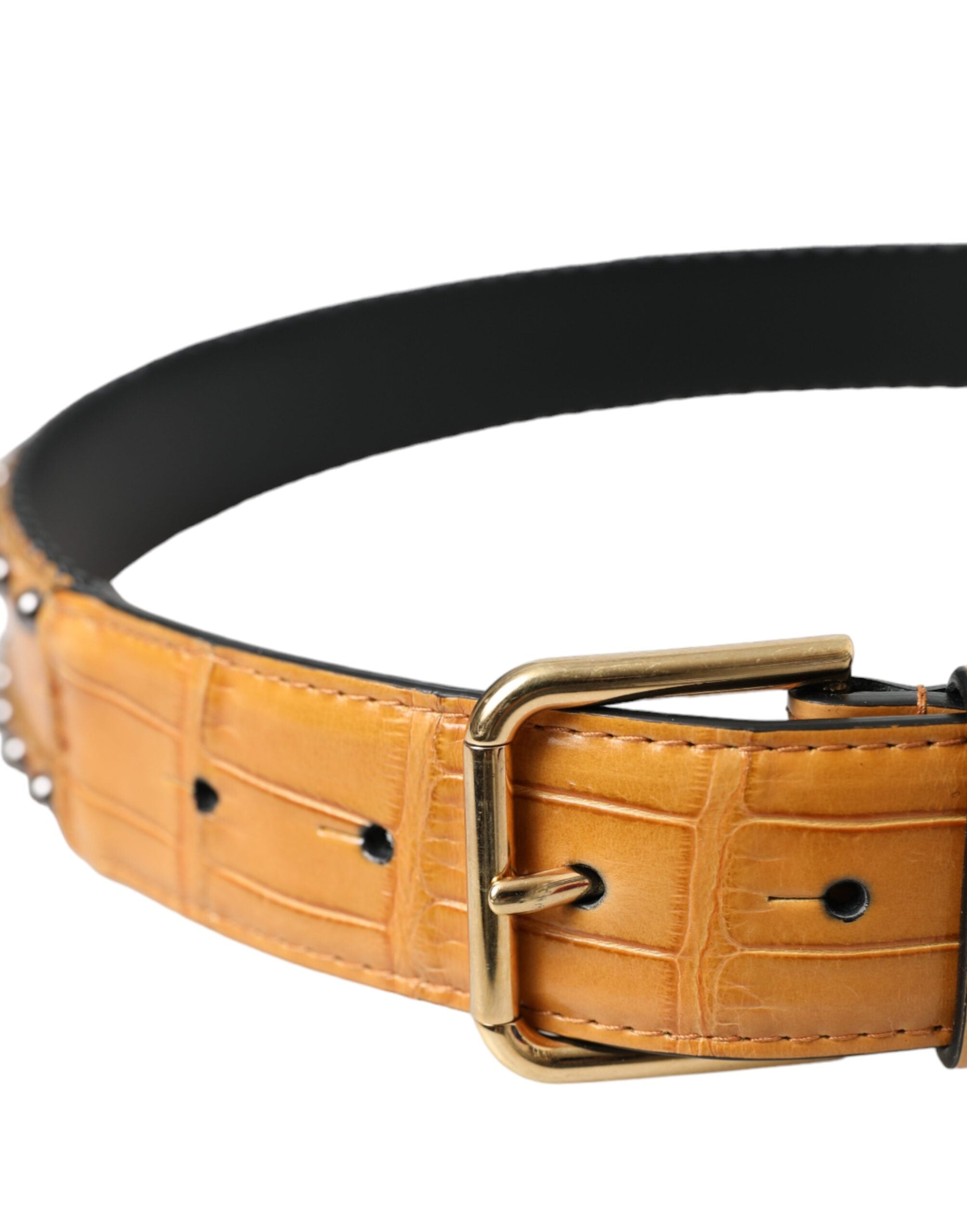 Dolce & Gabbana Beige Alligator Leather Studded Belt with Metal Buckle-3