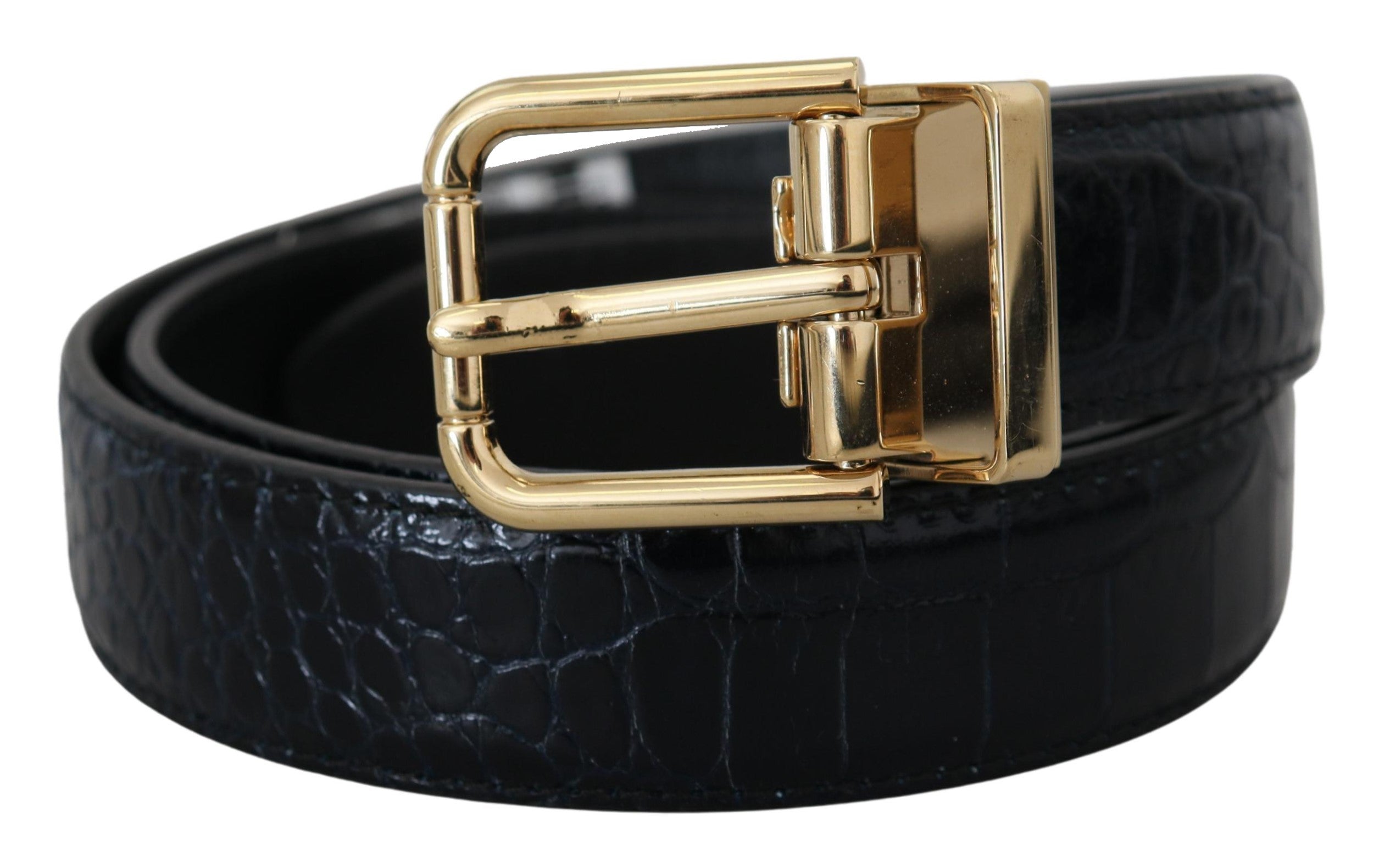 Dolce & Gabbana Black Exotic Leather Belt with Gold Metal Buckle-1