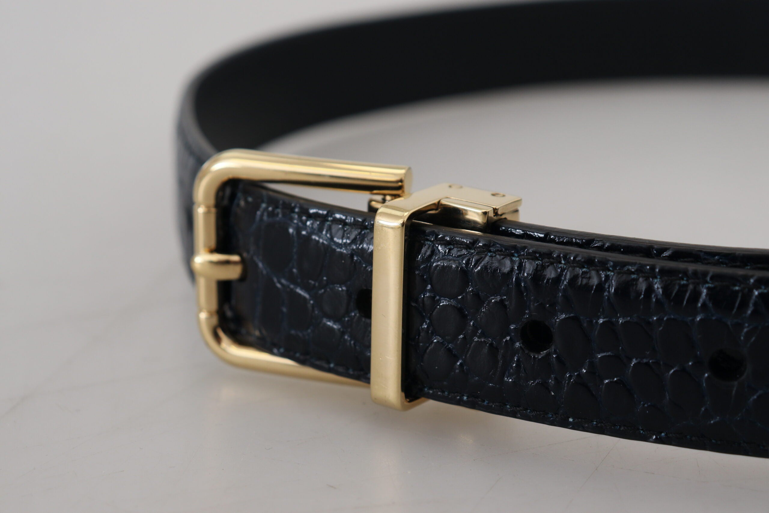 Dolce & Gabbana Black Exotic Leather Belt with Gold Metal Buckle-5