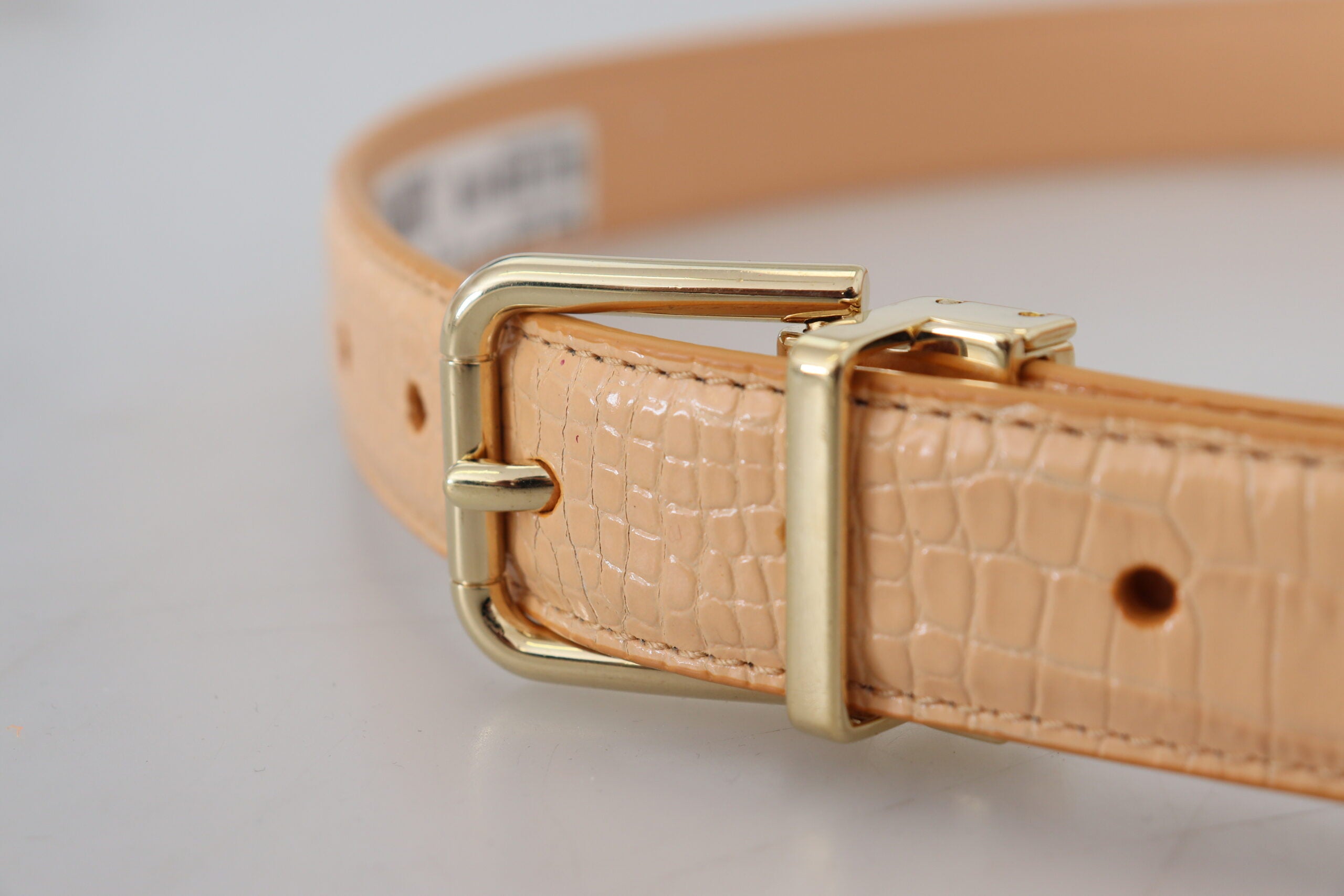 Cinturón de piel exótica beige con hebilla de metal dorado de Dolce & Gabbana-4