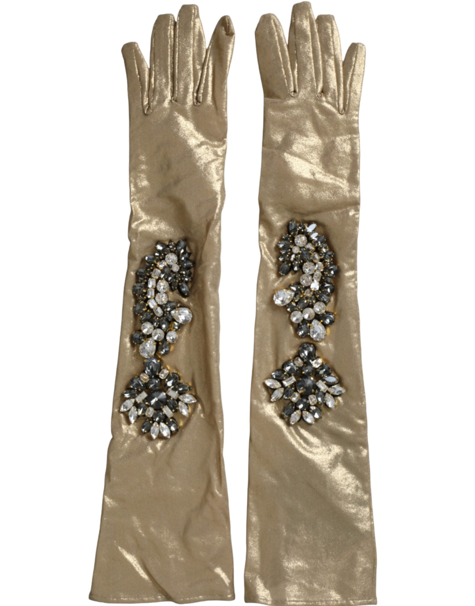 Dolce & Gabbana Beige Satin Crystal Elbow-Length Gloves-1