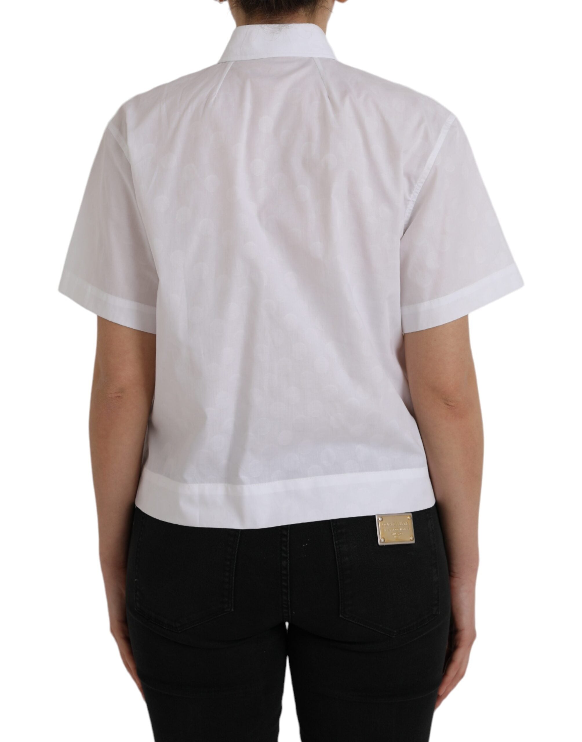 Dolce & Gabbana White short-sleeved polo shirt with collar-4