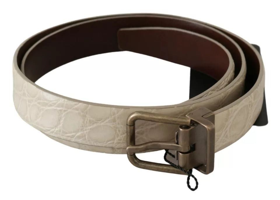 Dolce & Gabbana Cream Beige Gold Buckle Waist Leather Belt-4