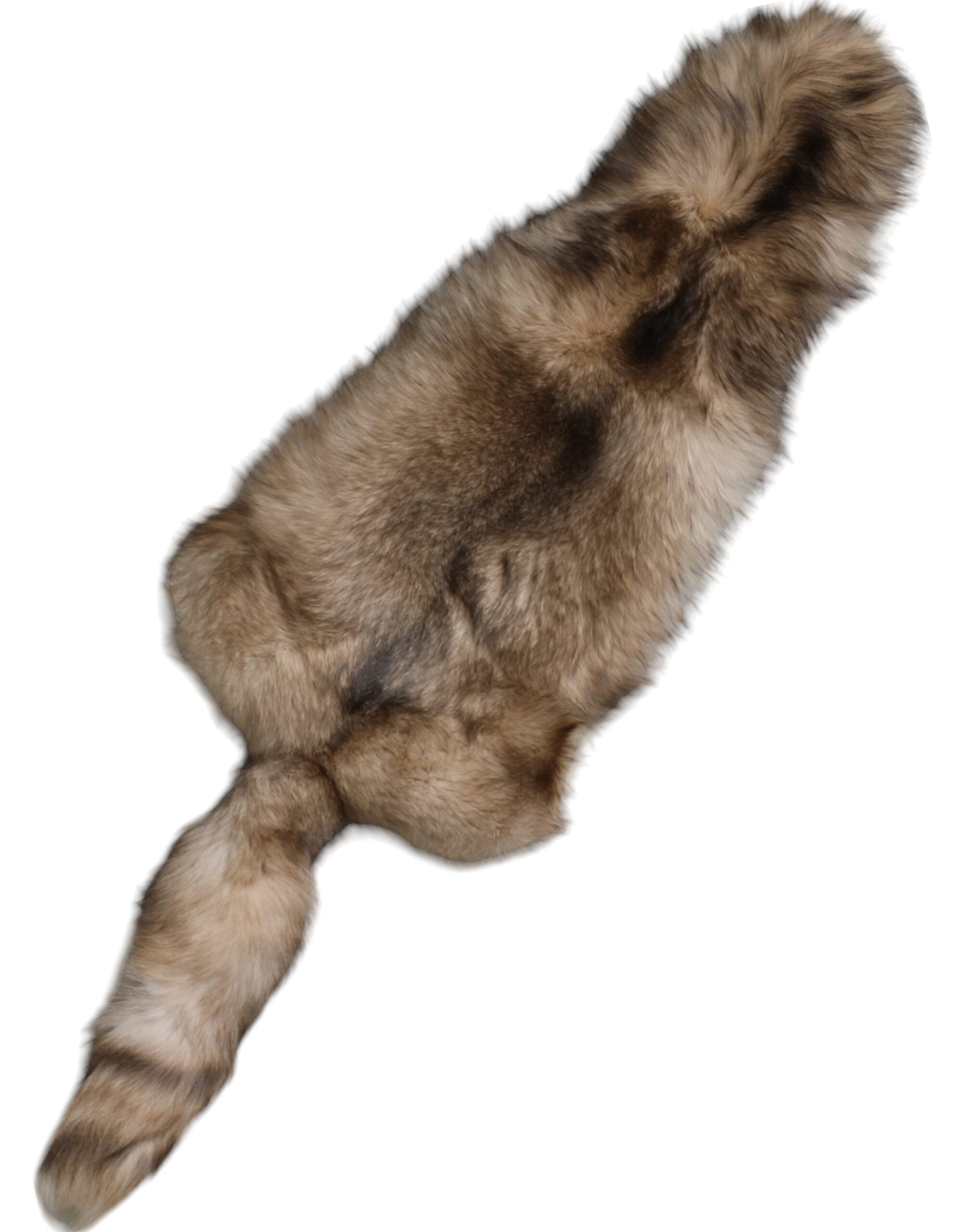 Dolce & Gabbana Brauner Frostfuchs Pelz Halswärmer Winterschal-1