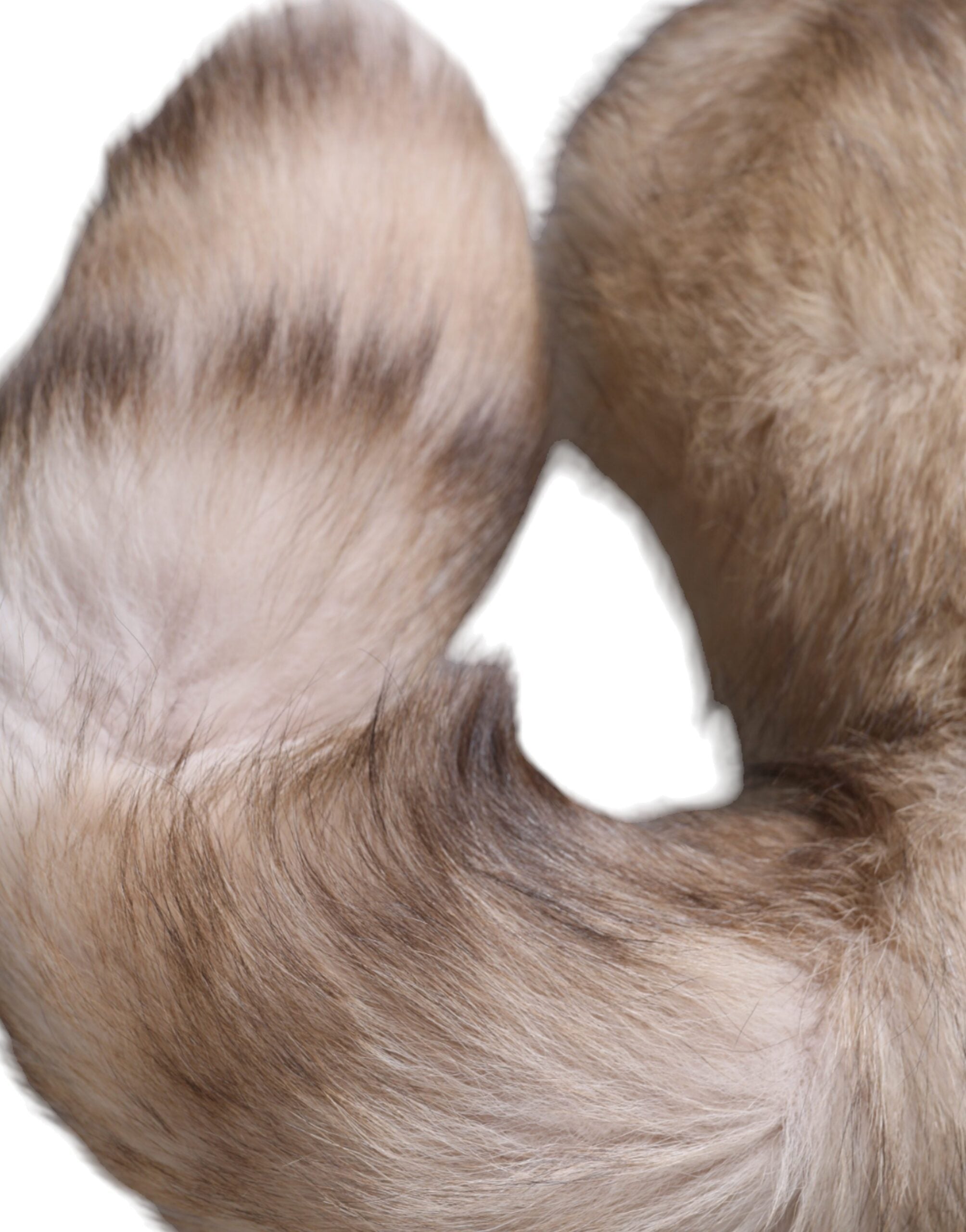 Dolce & Gabbana Brauner Frostfuchs Pelz Halswärmer Winterschal-3