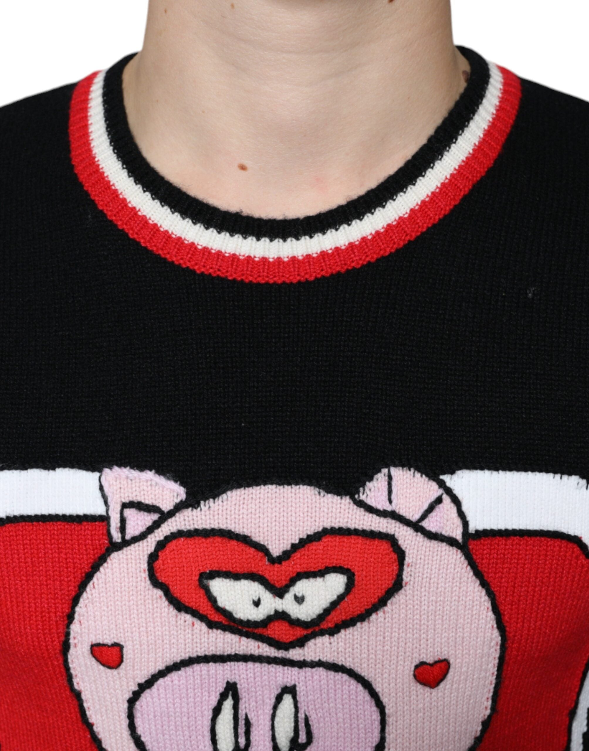 Dolce & Gabbana Schwarzer Kaschmir-Pullover Schwein des Jahres-5