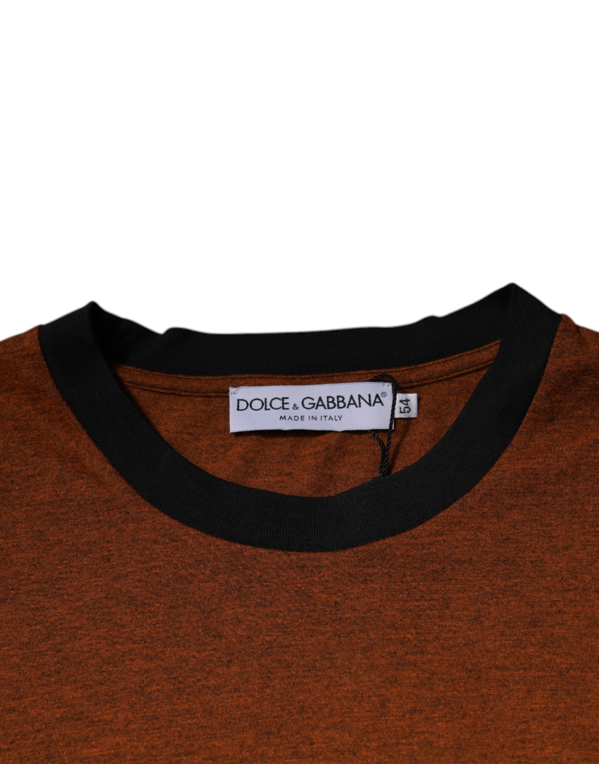 Dolce & Gabbana Brown DG Logo Cotton T-Shirt with Round Neck-6