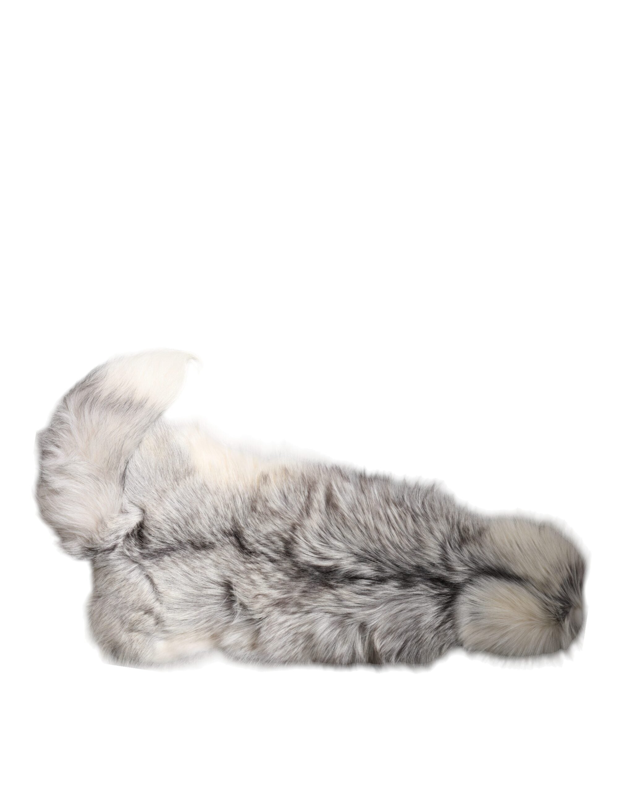 Dolce & Gabbana White Fox Fur Neck Wrap Warm Winter Scarf-5
