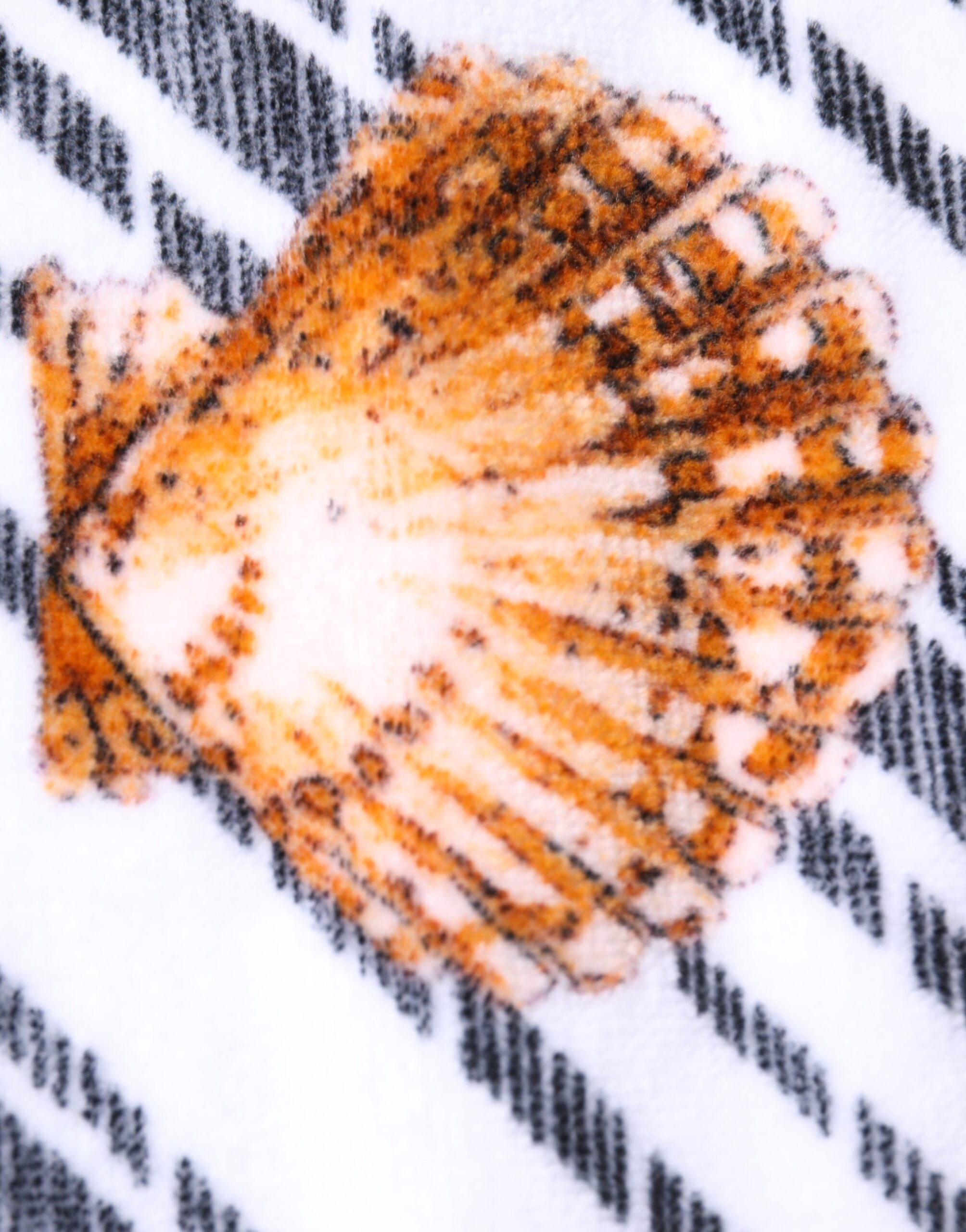 Dolce & Gabbana Multicolor Stripes Seashells Beach Towel-4