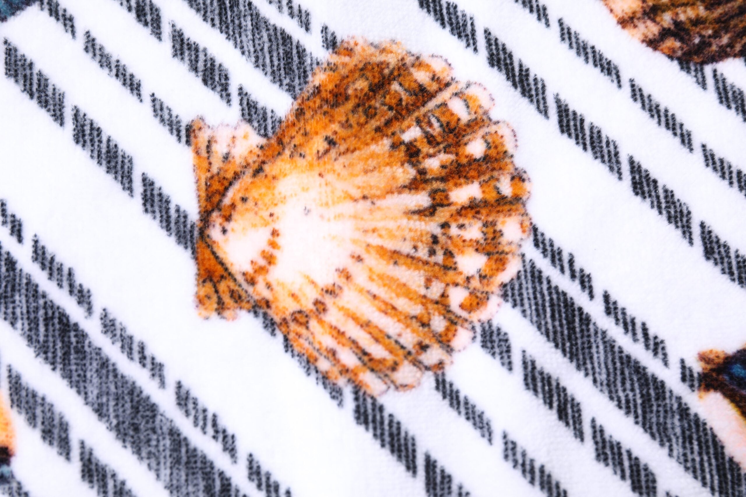Dolce & Gabbana Multicolor Stripes Seashells Beach Towel-5